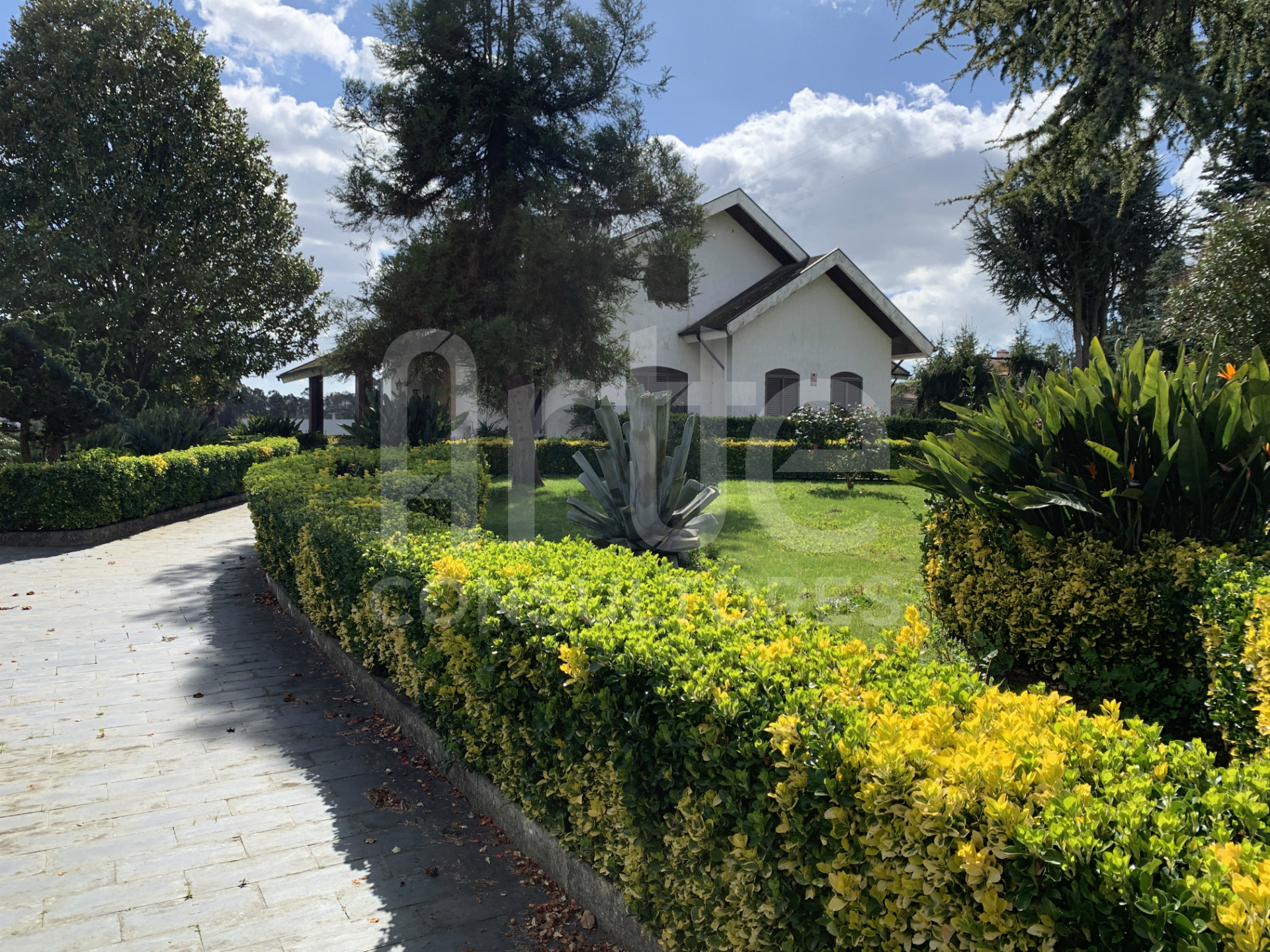 Façade Latérale Gauche