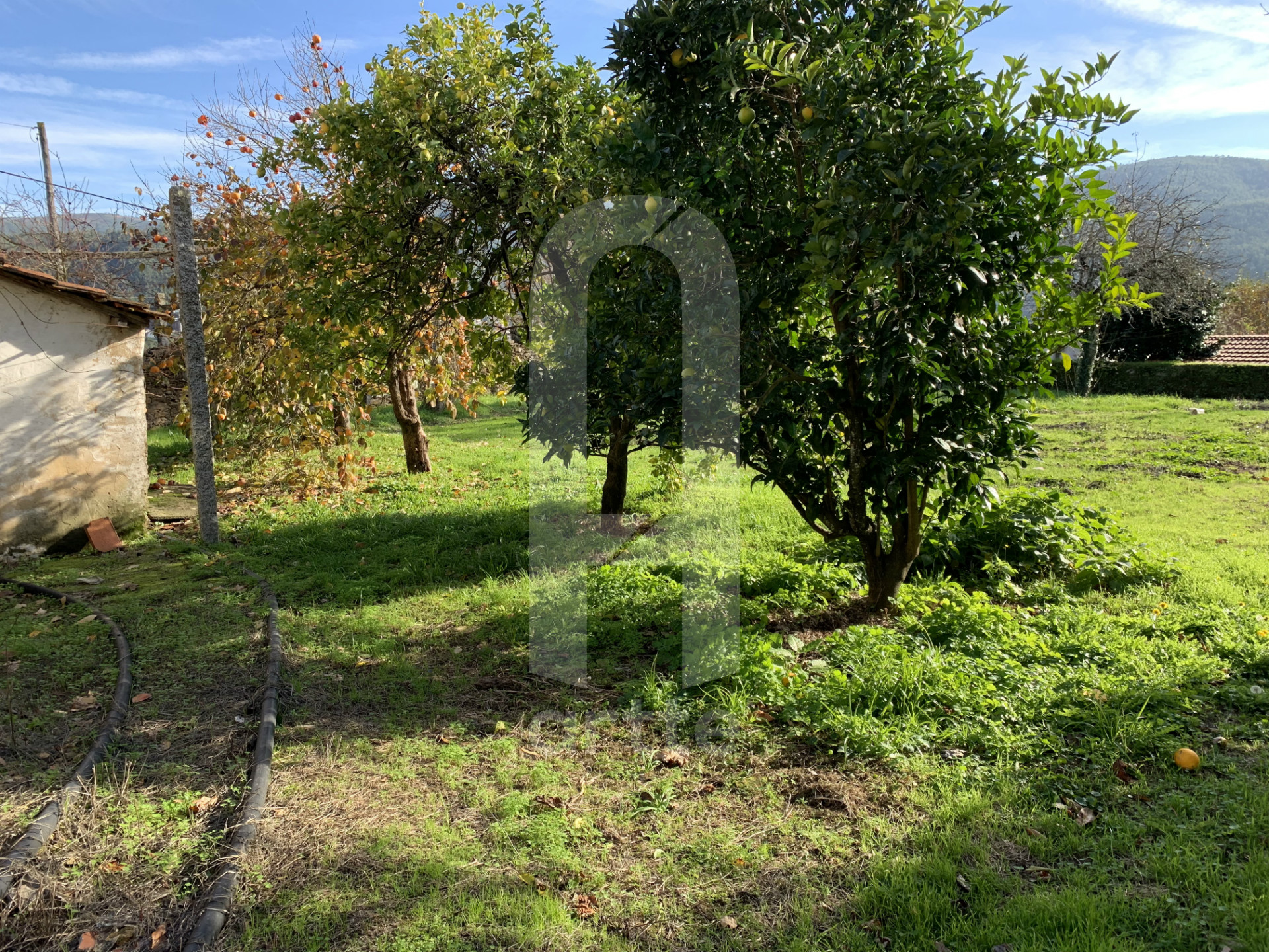 Bauernhaus 7 Schlafzimmer