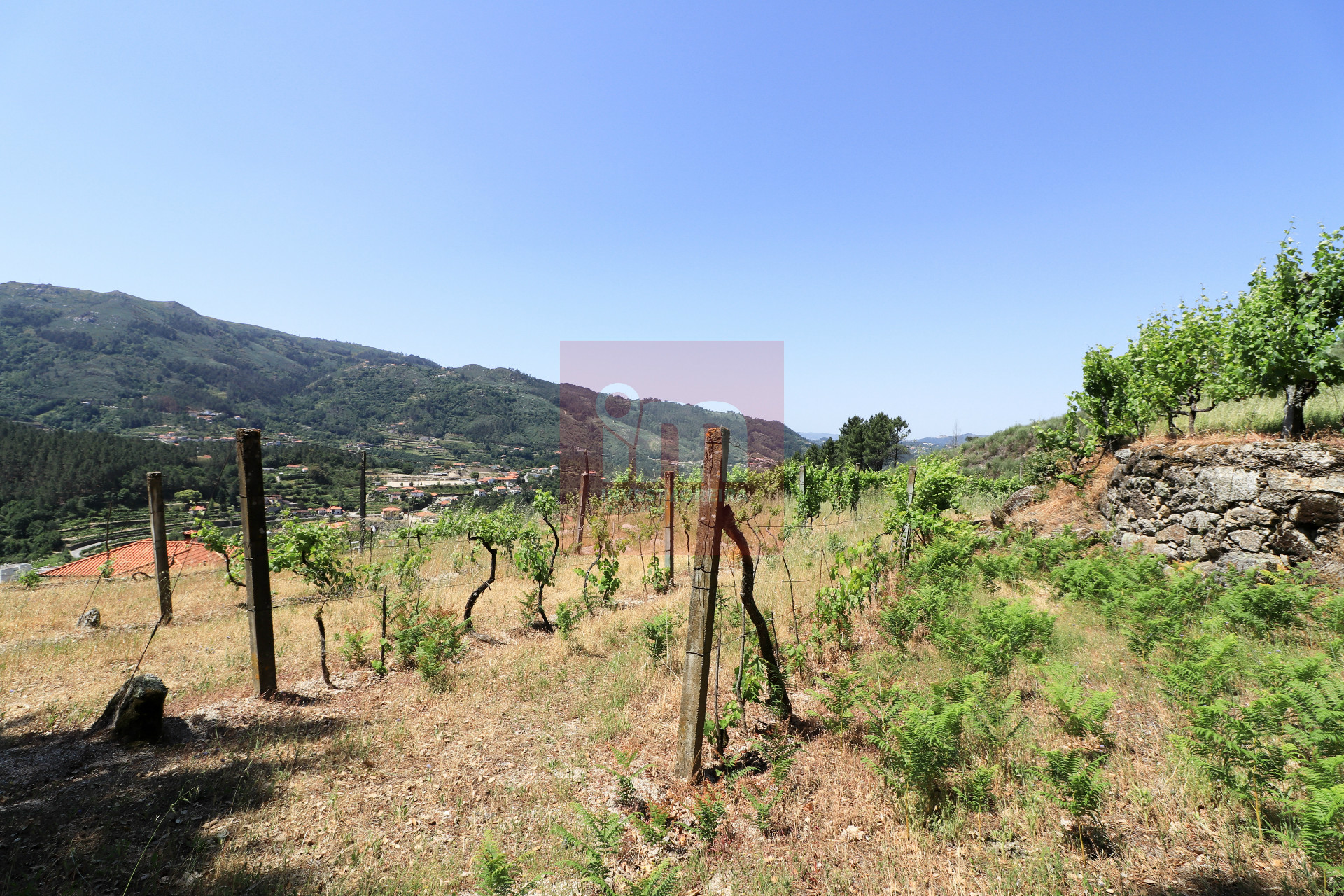 Herdade