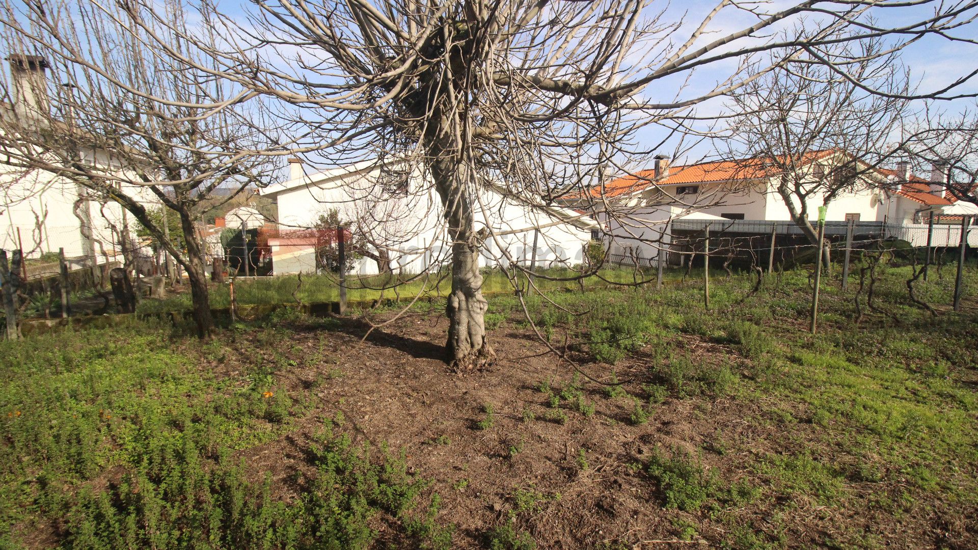 房子 3个房间 +2