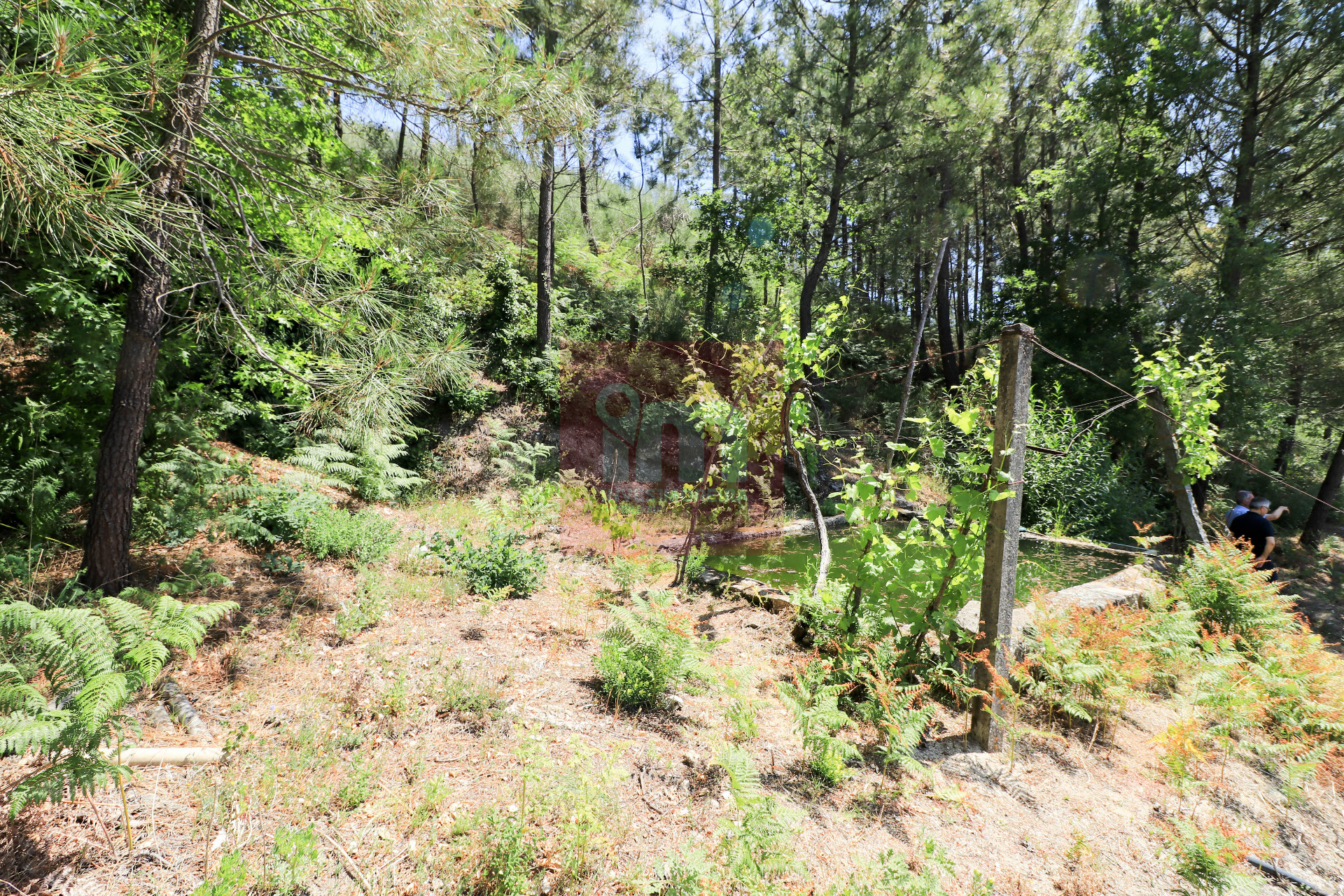 Herdade