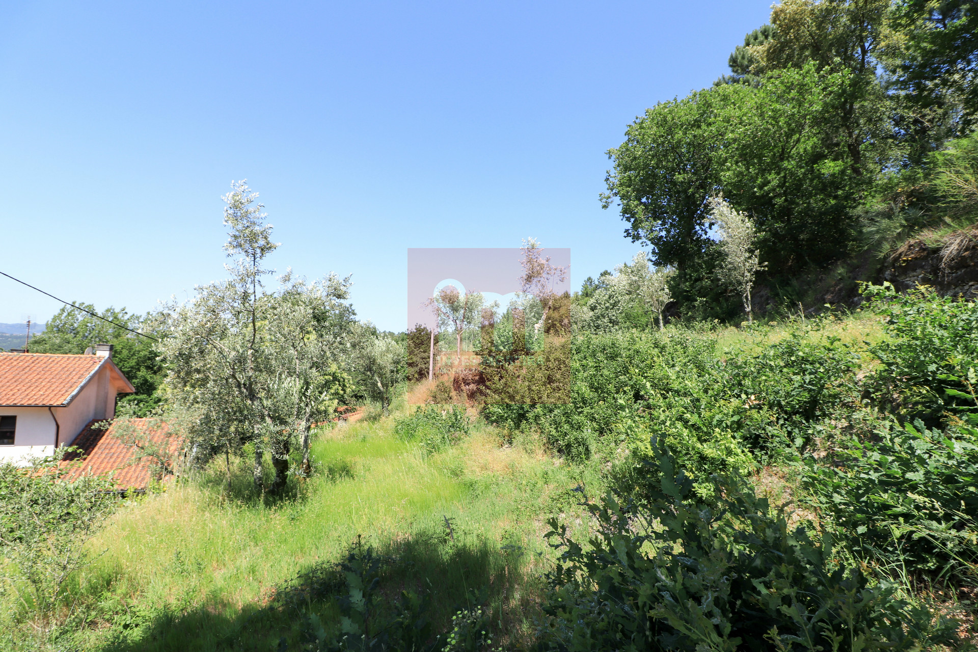 Herdade