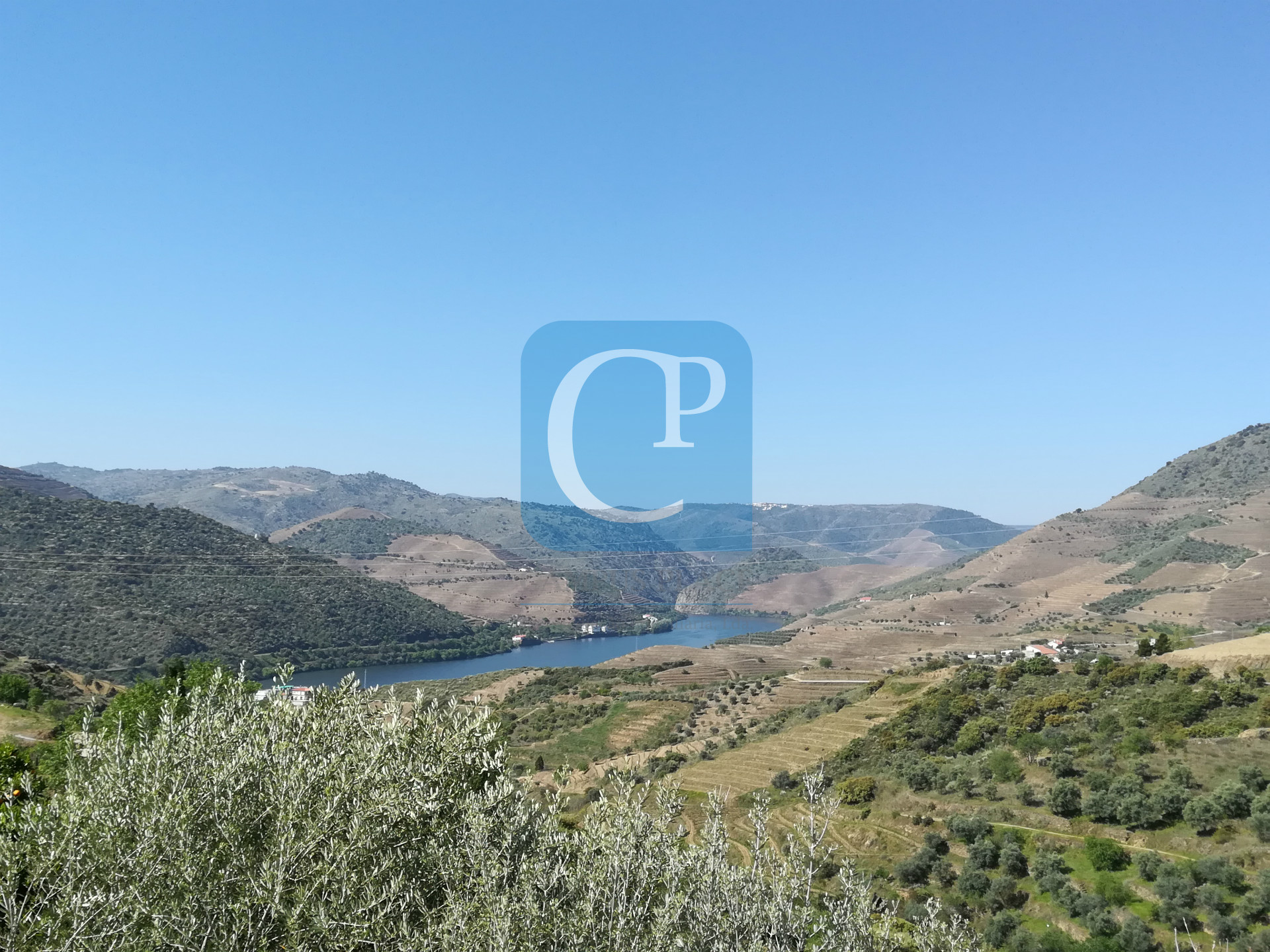 Quinta no Alto Douro Vinhateiro