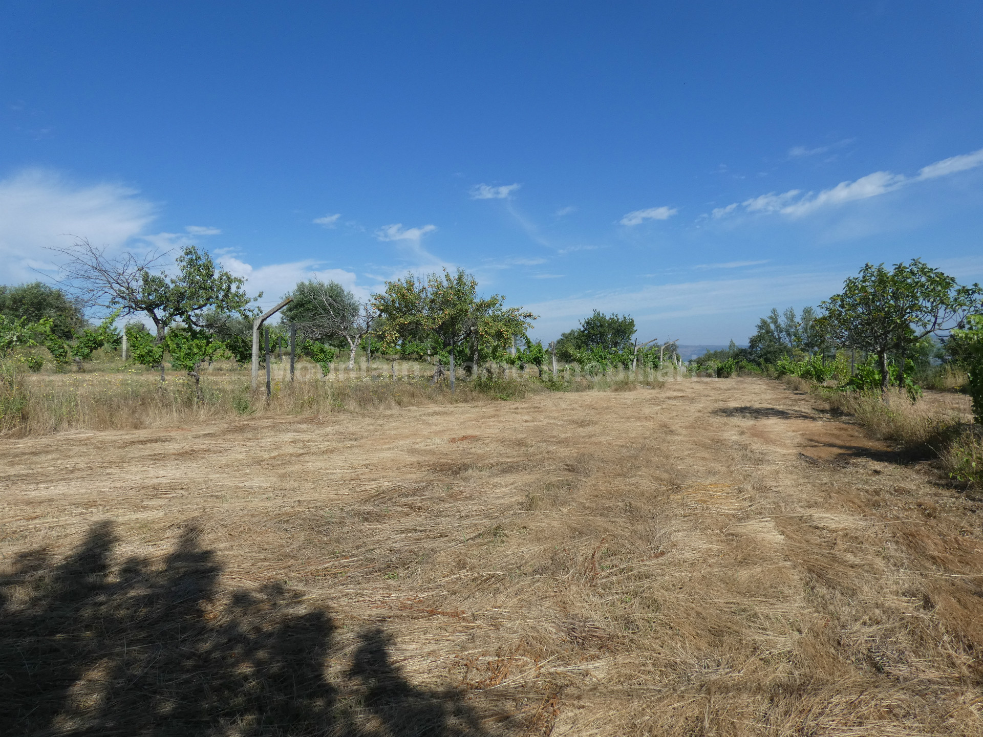 Terreno per Costruzione Monolocale