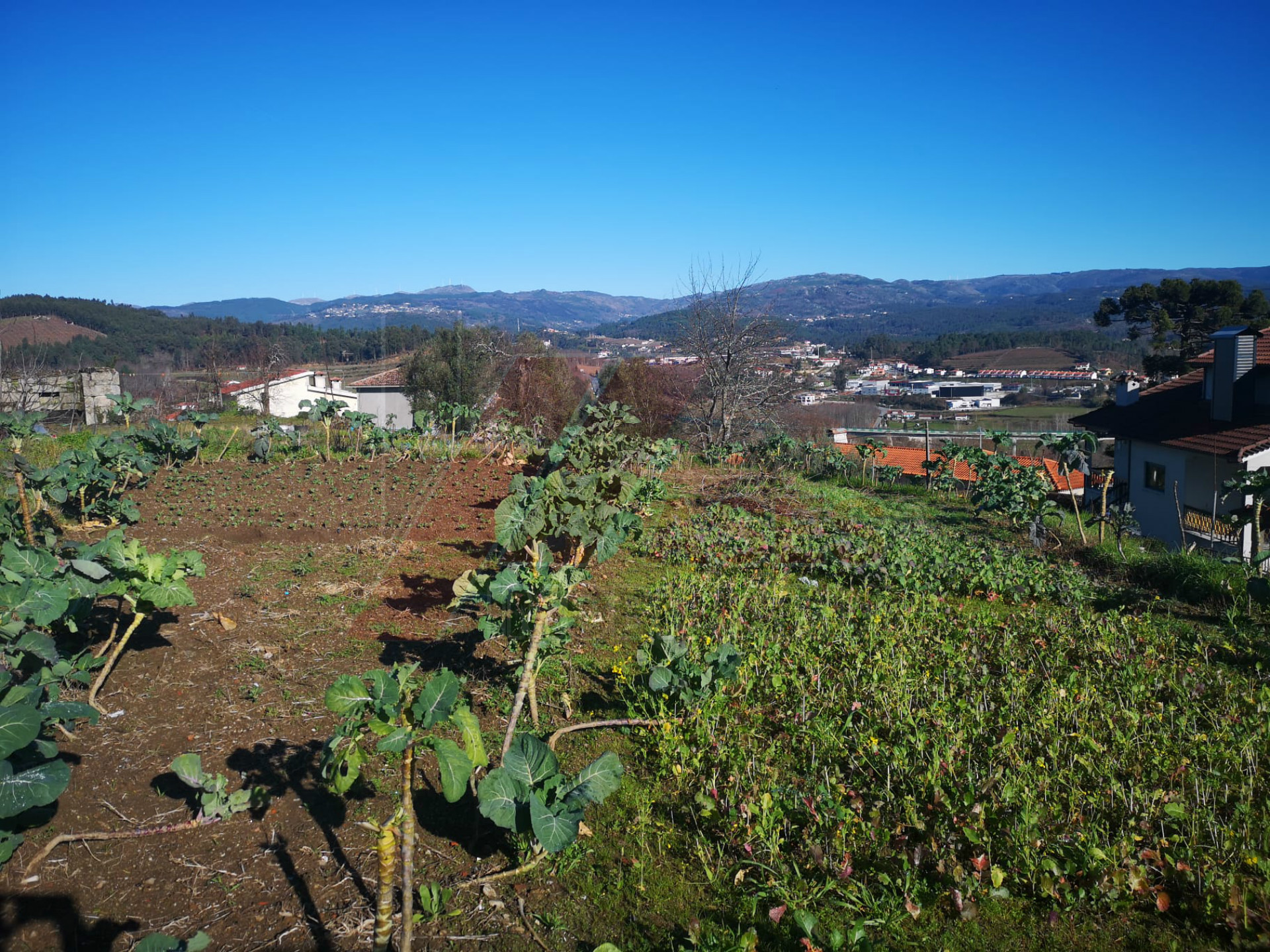 Terreno per Costruzione