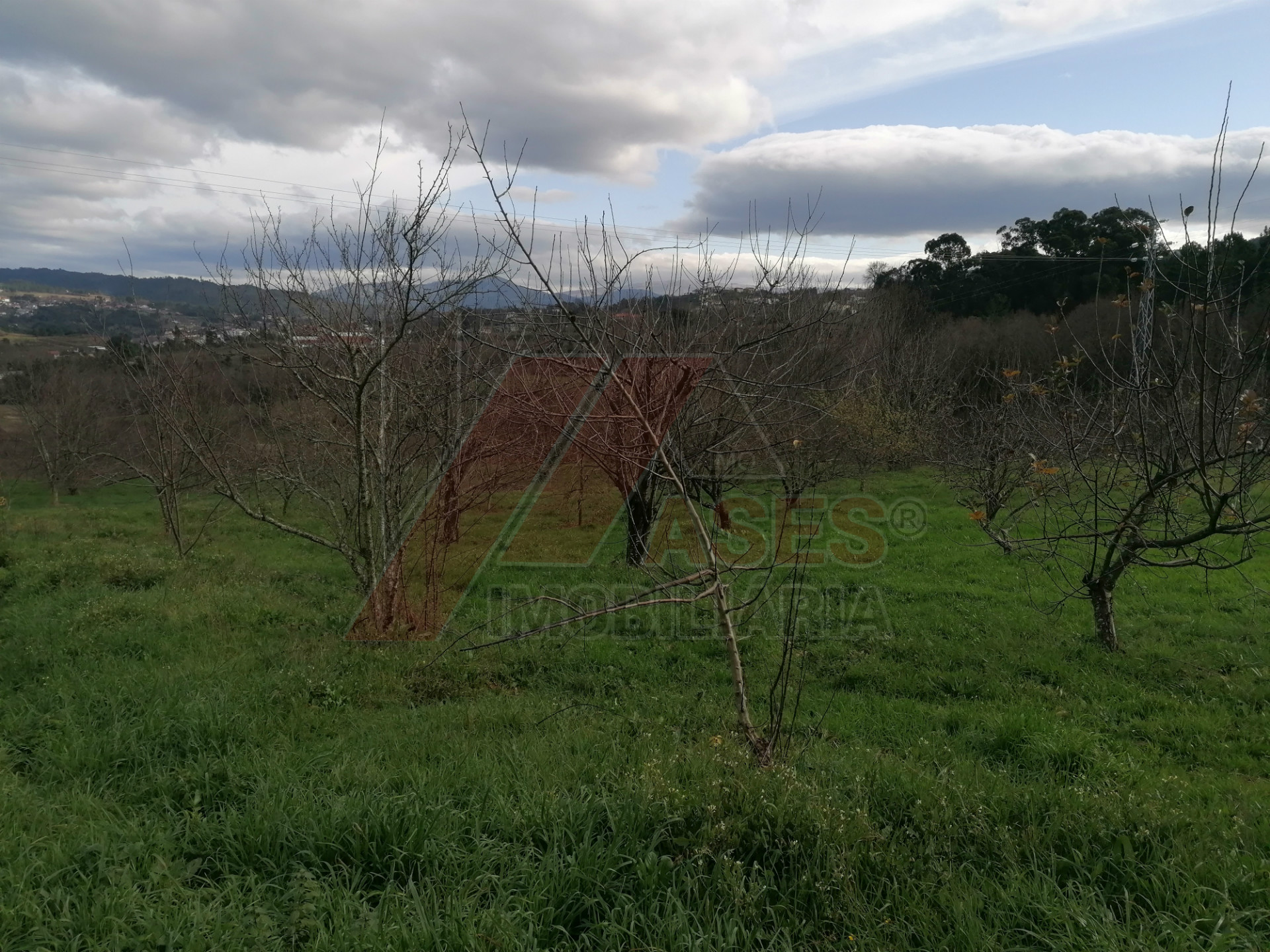 herencia 4 habitaciones