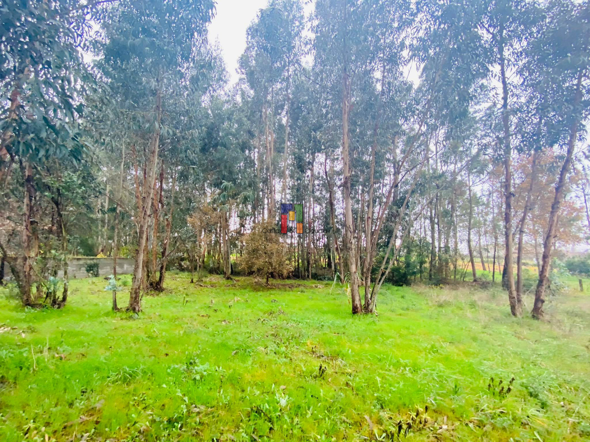 Real Estate building T3