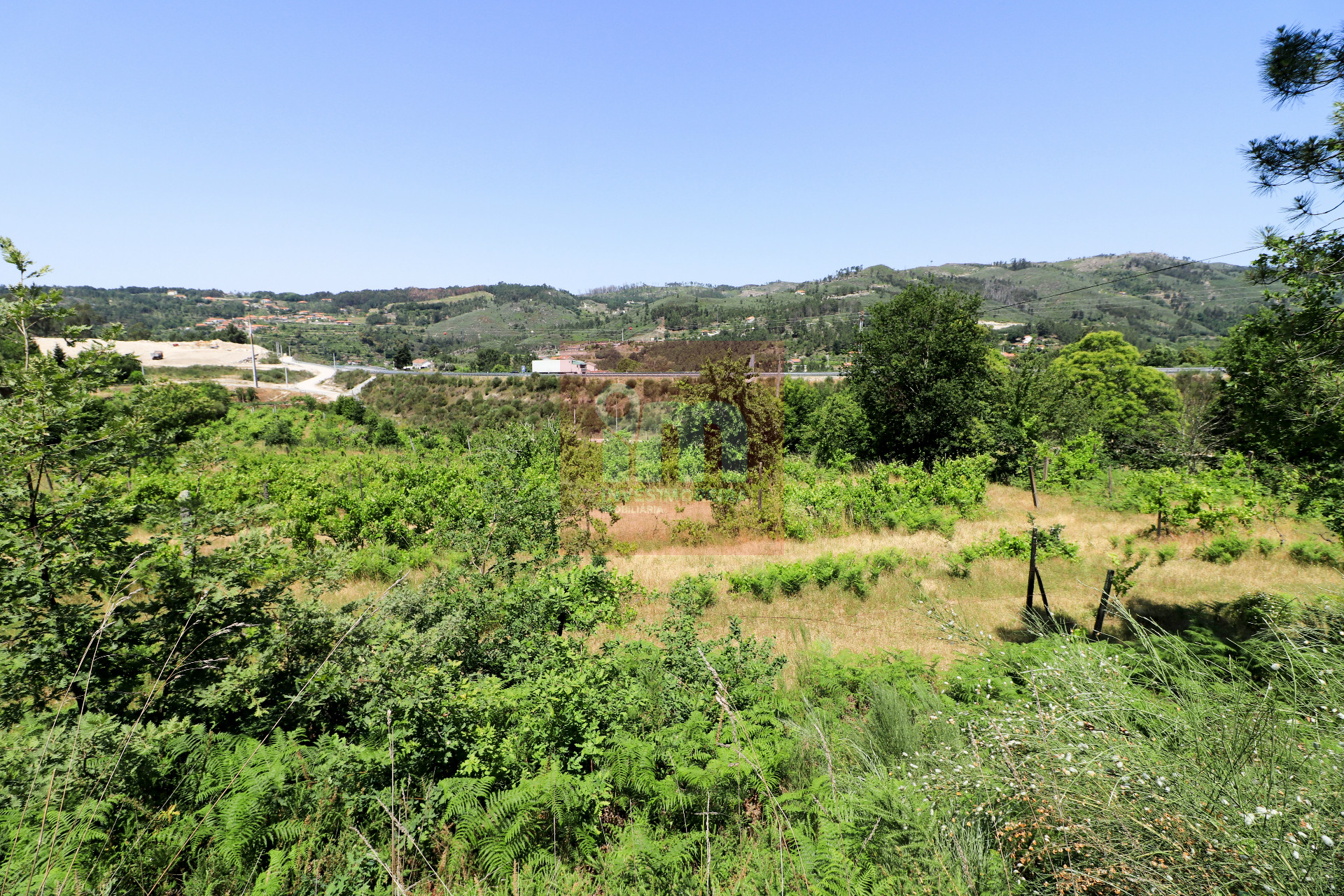 Herdade
