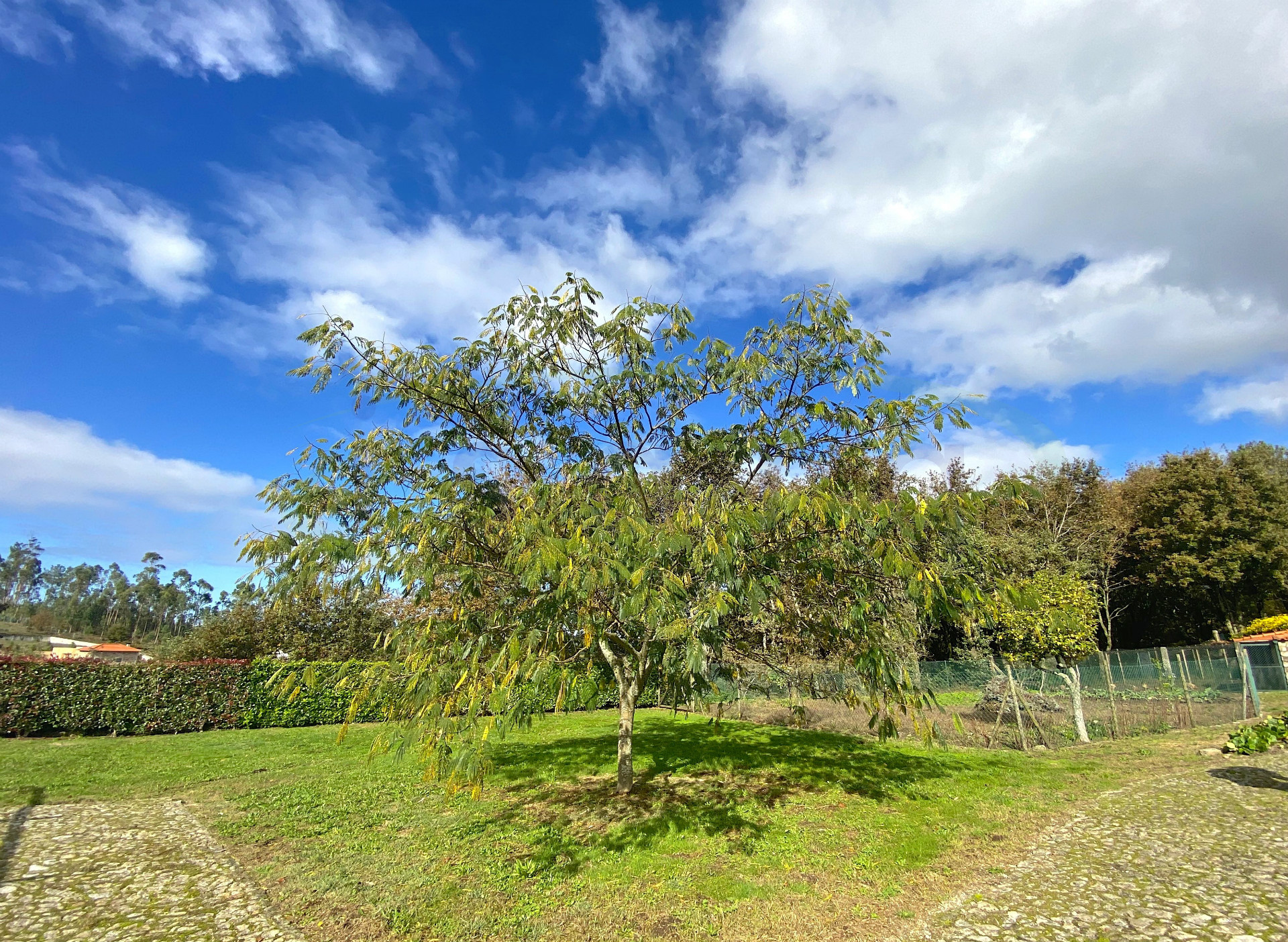 Propriété de tourisme rural sur le Camino de Santiago