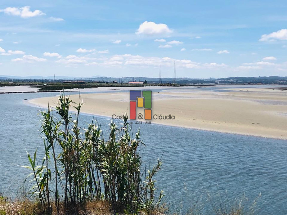 Real Estate building T3