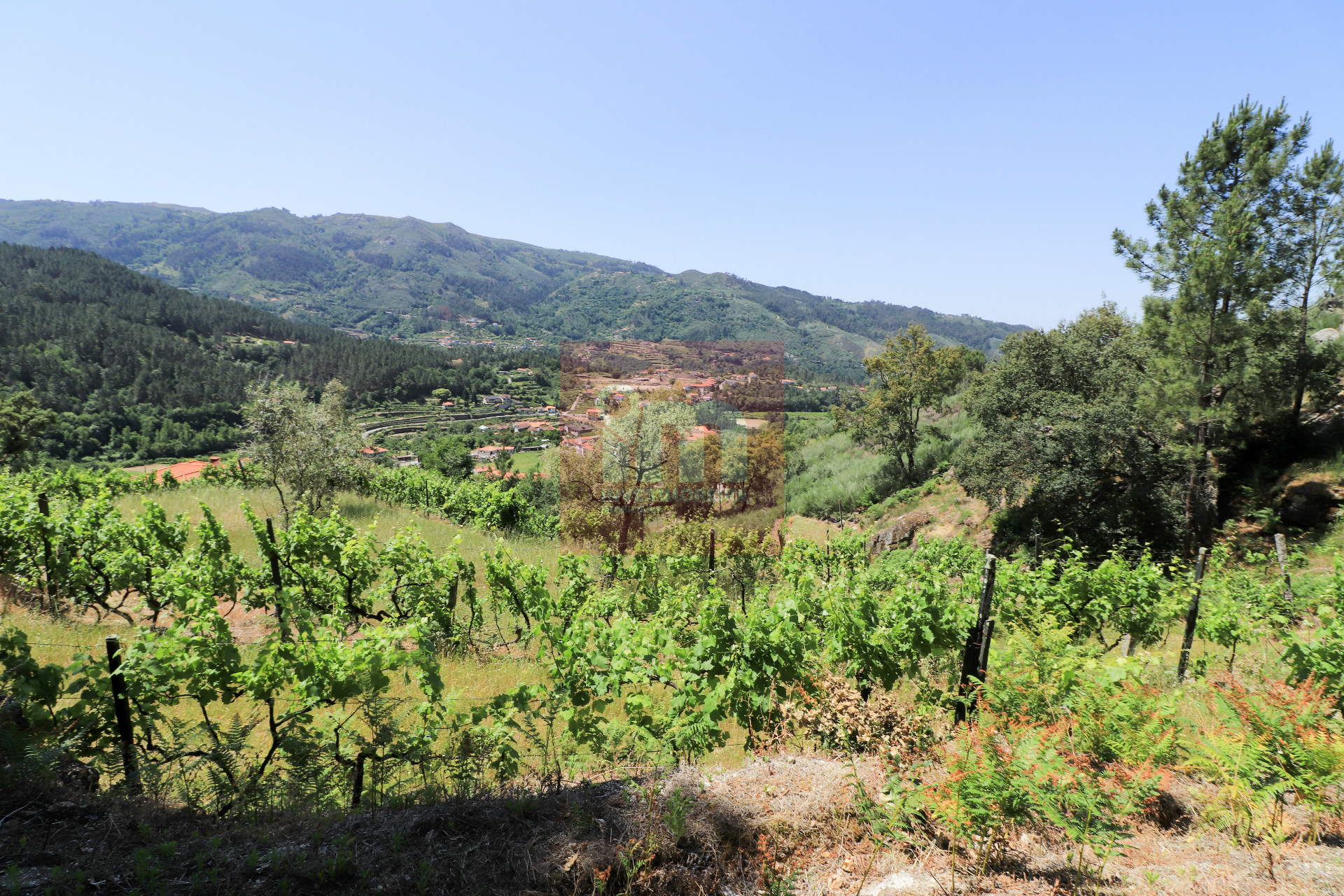 Herdade