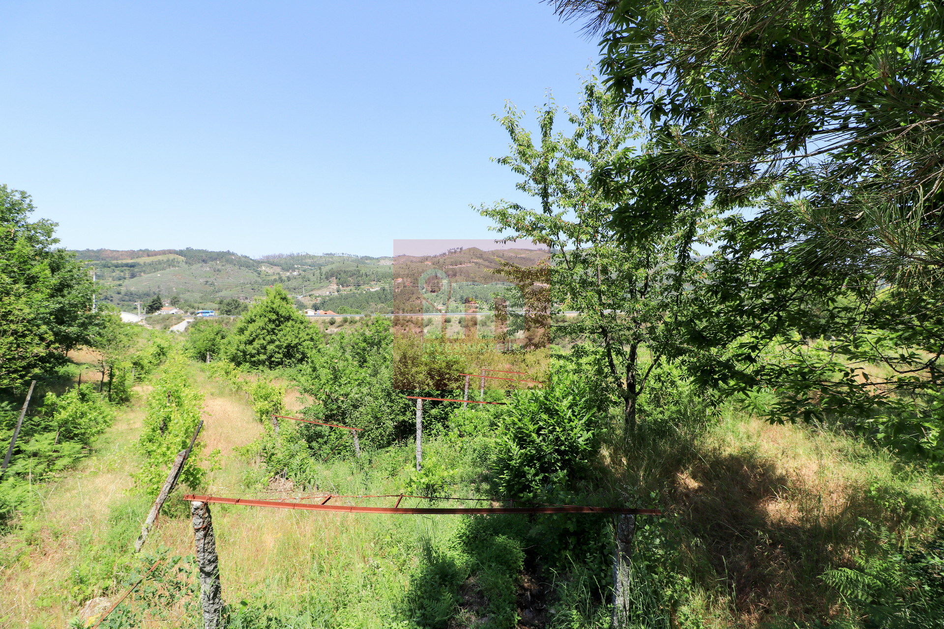 Herdade