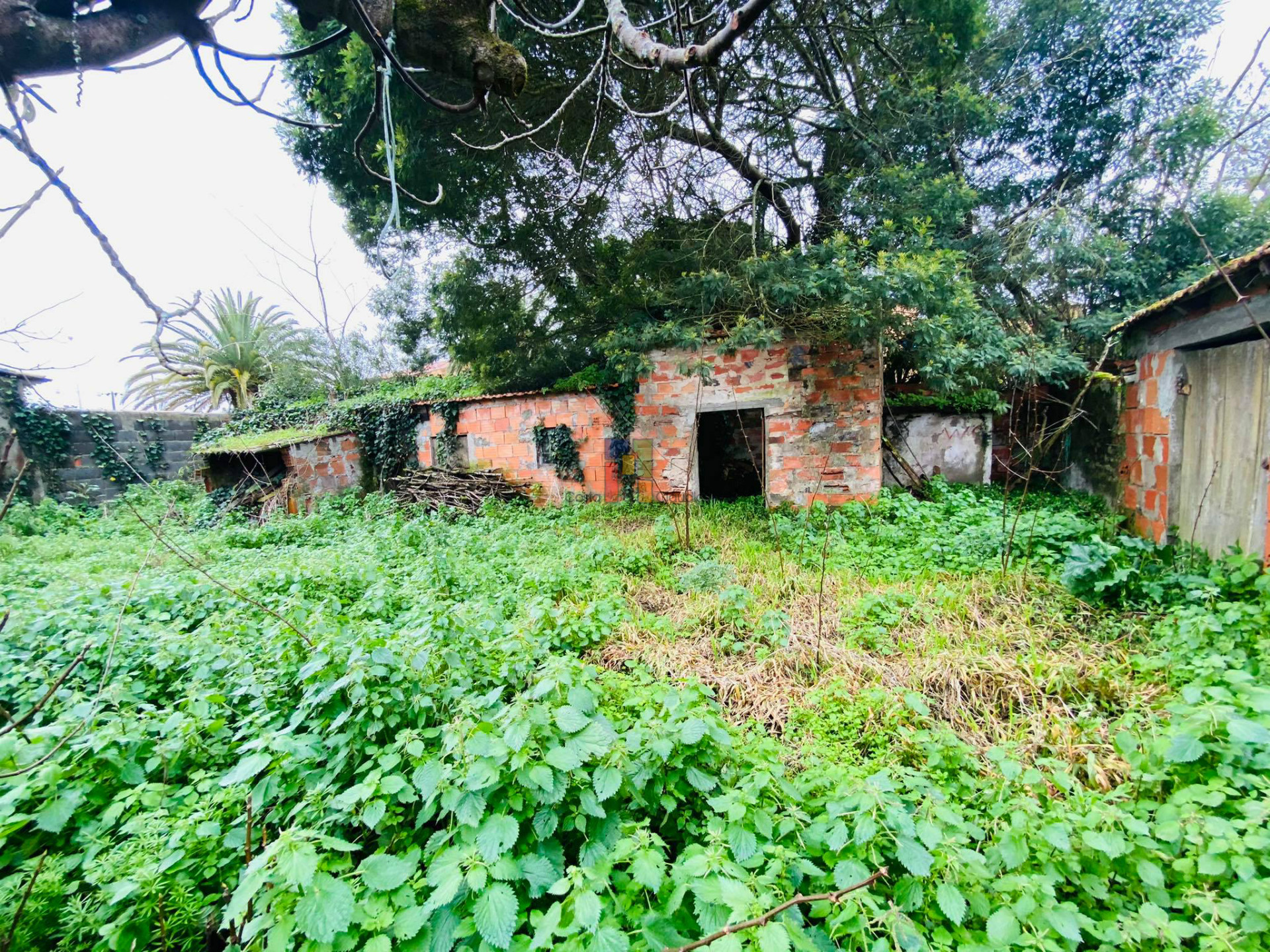 Scrapped Building T3