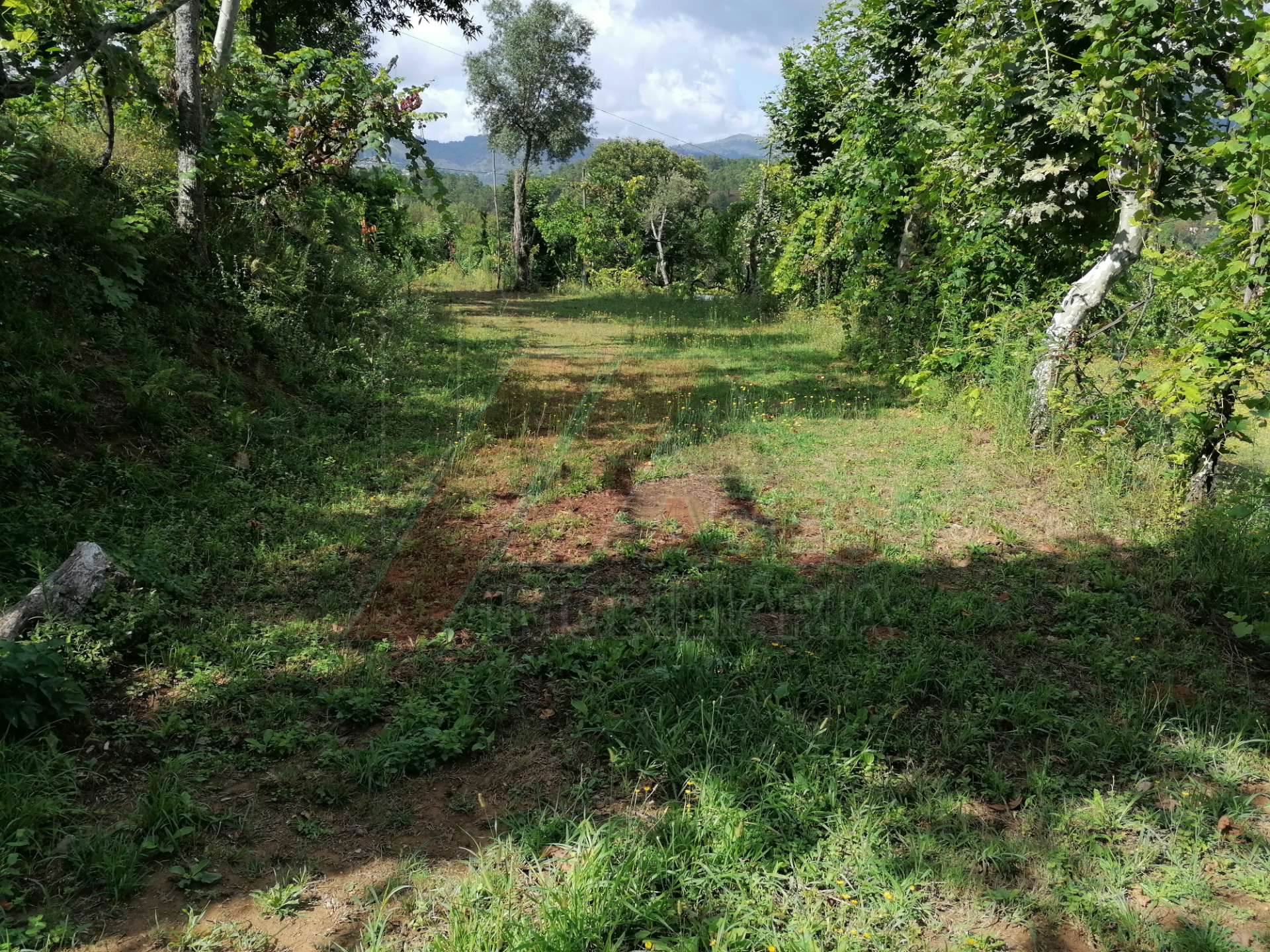Terreno Para Construcción