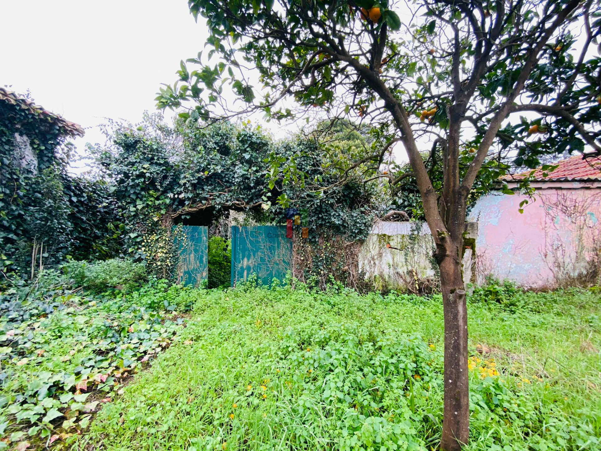 Scrapped Building T3