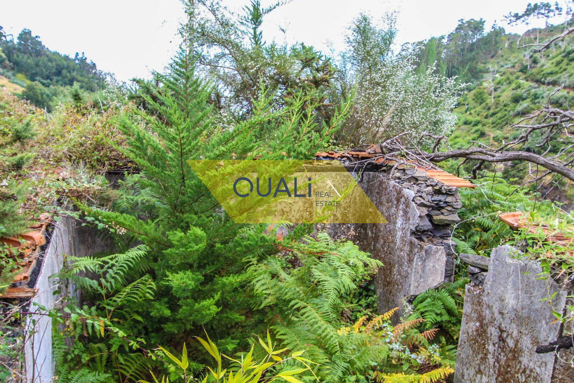 Terreno 980 m2 com casa em ruinas em Conselho de Santa Cruz €50.000,00