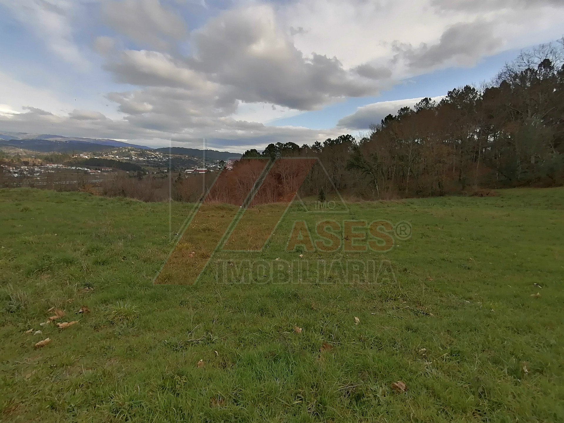 herencia 4 habitaciones