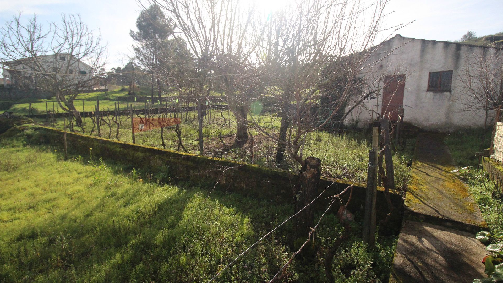 房子 3个房间 +2