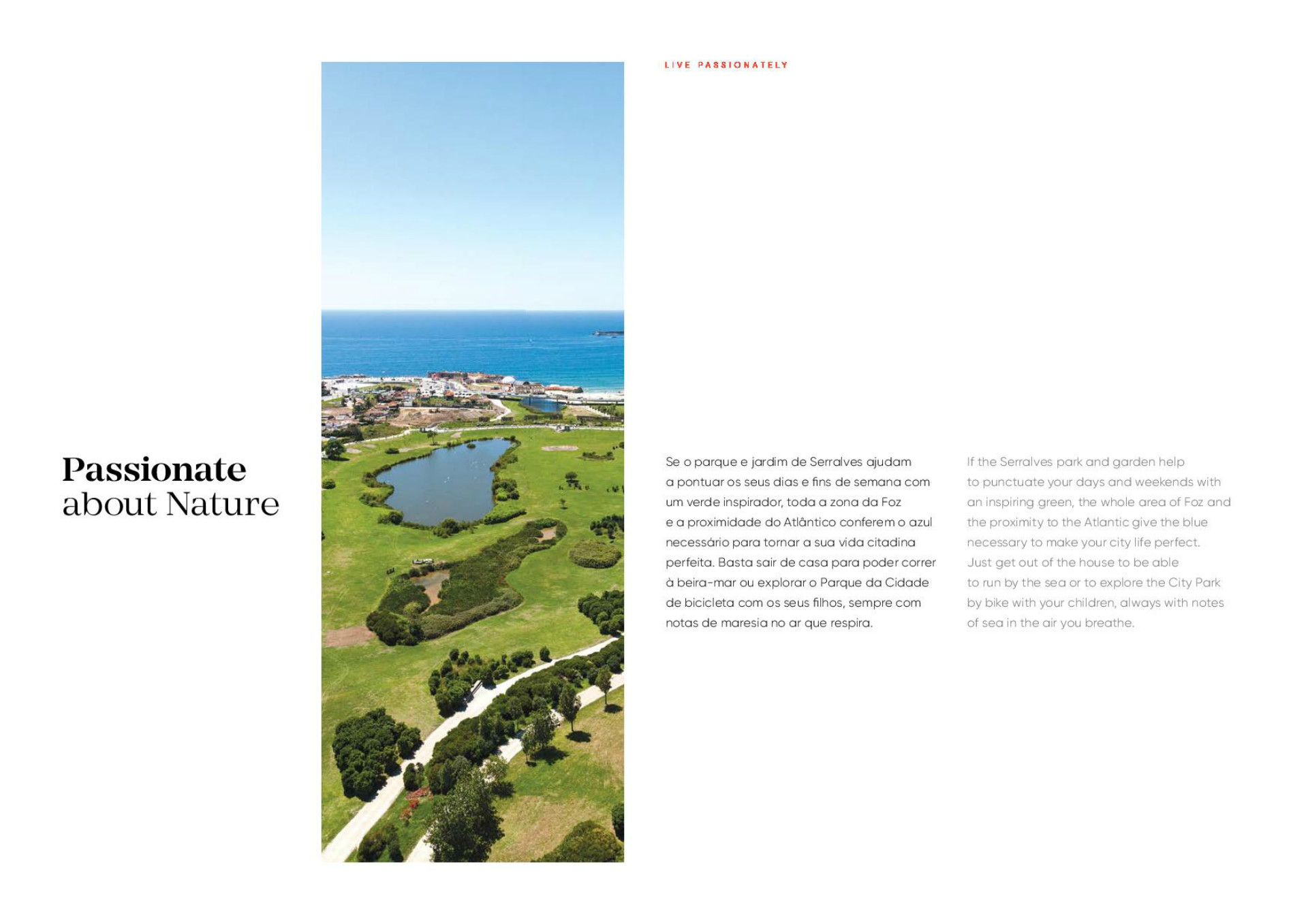 Étage 3 Chambre(s)+1