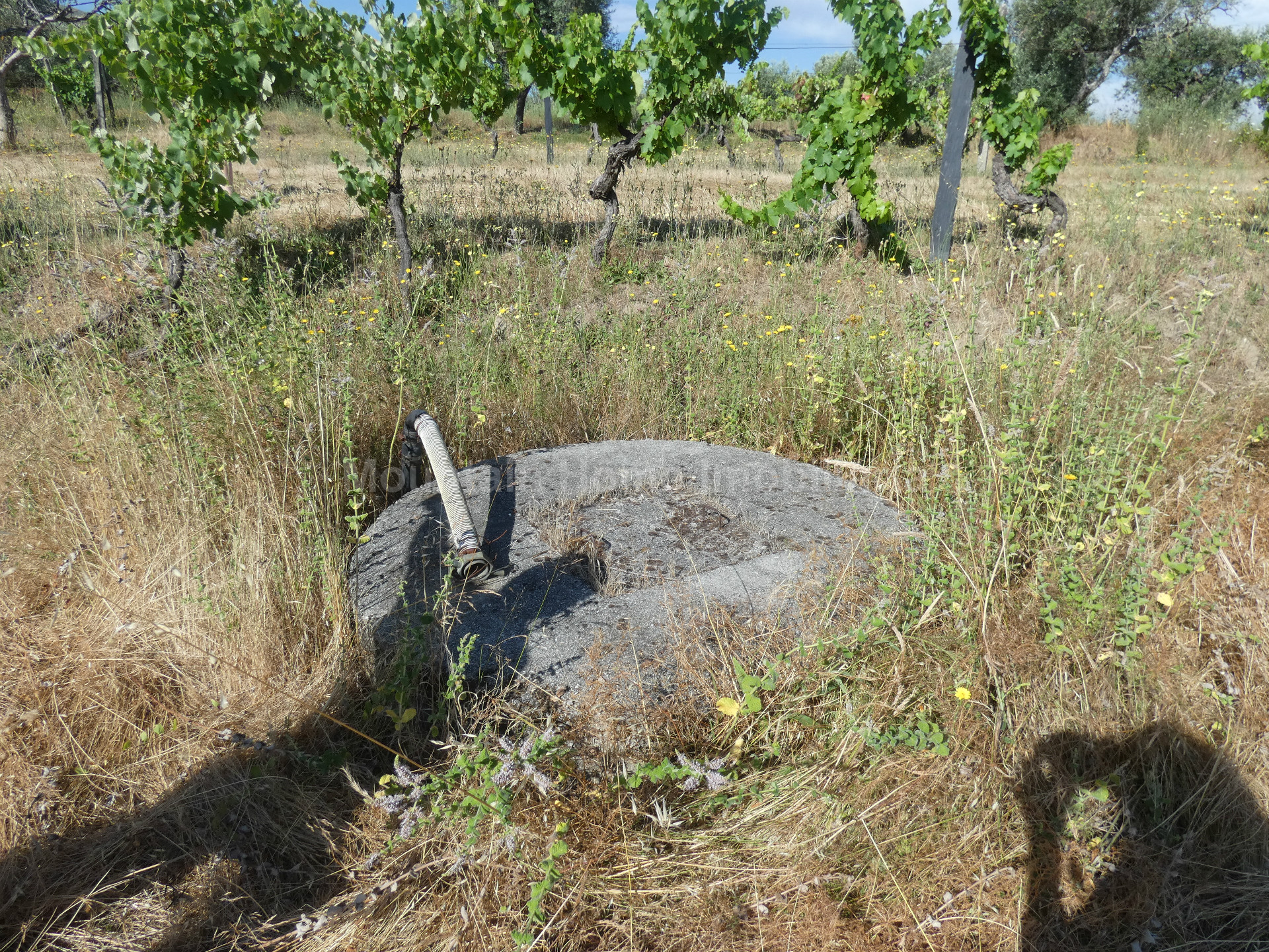 Terreno per Costruzione Monolocale
