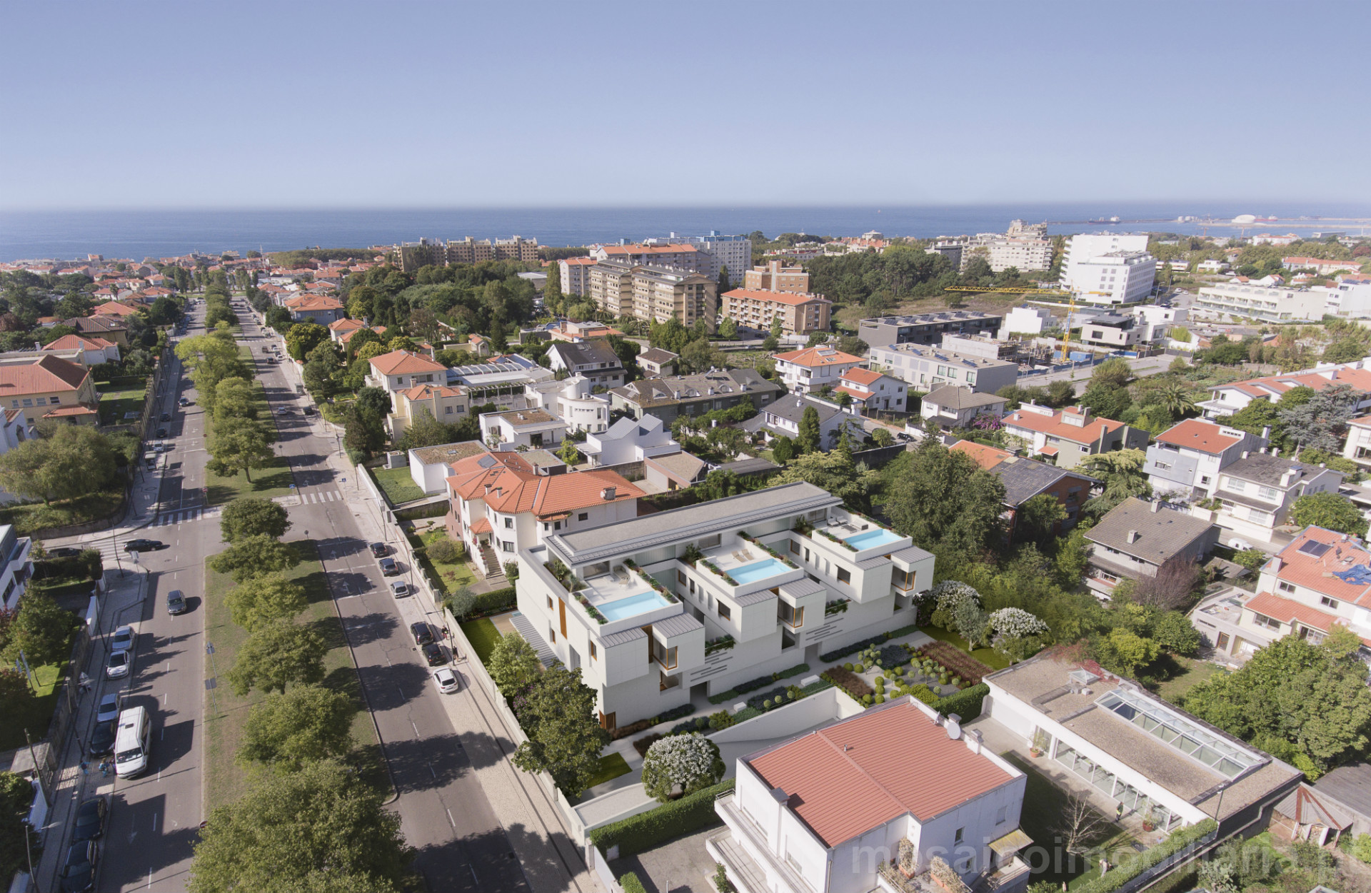 Étage 3 Chambre(s)+1