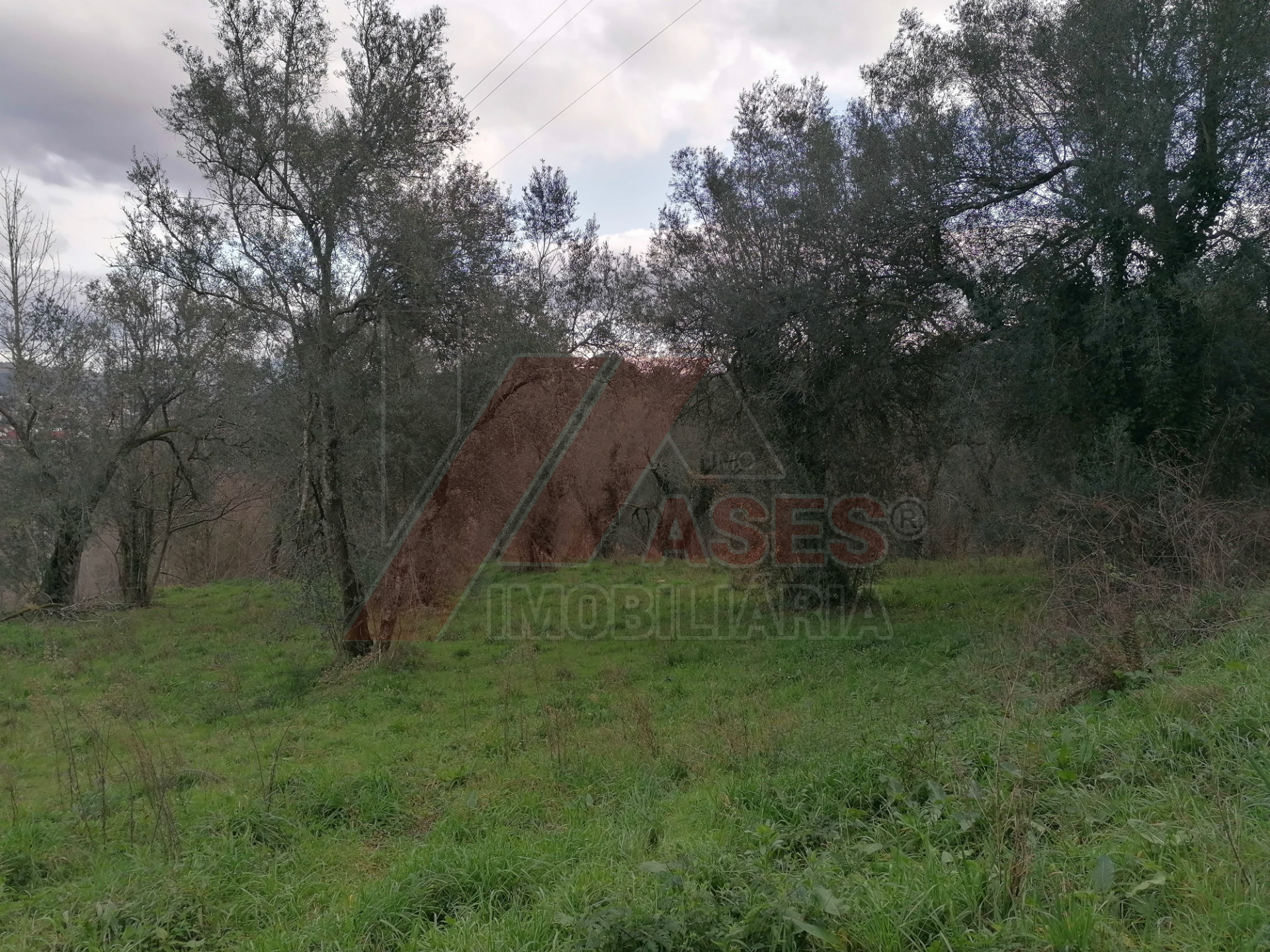 herencia 4 habitaciones