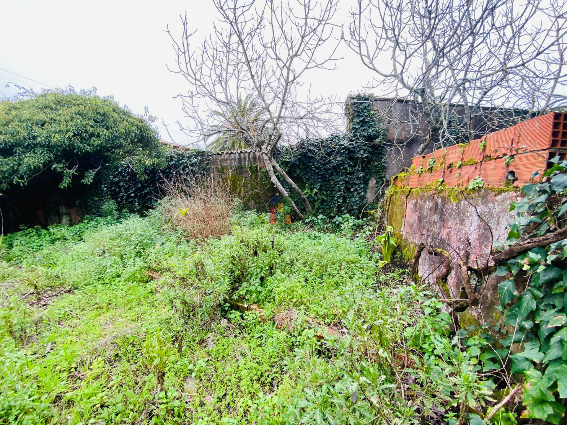 Scrapped Building T3