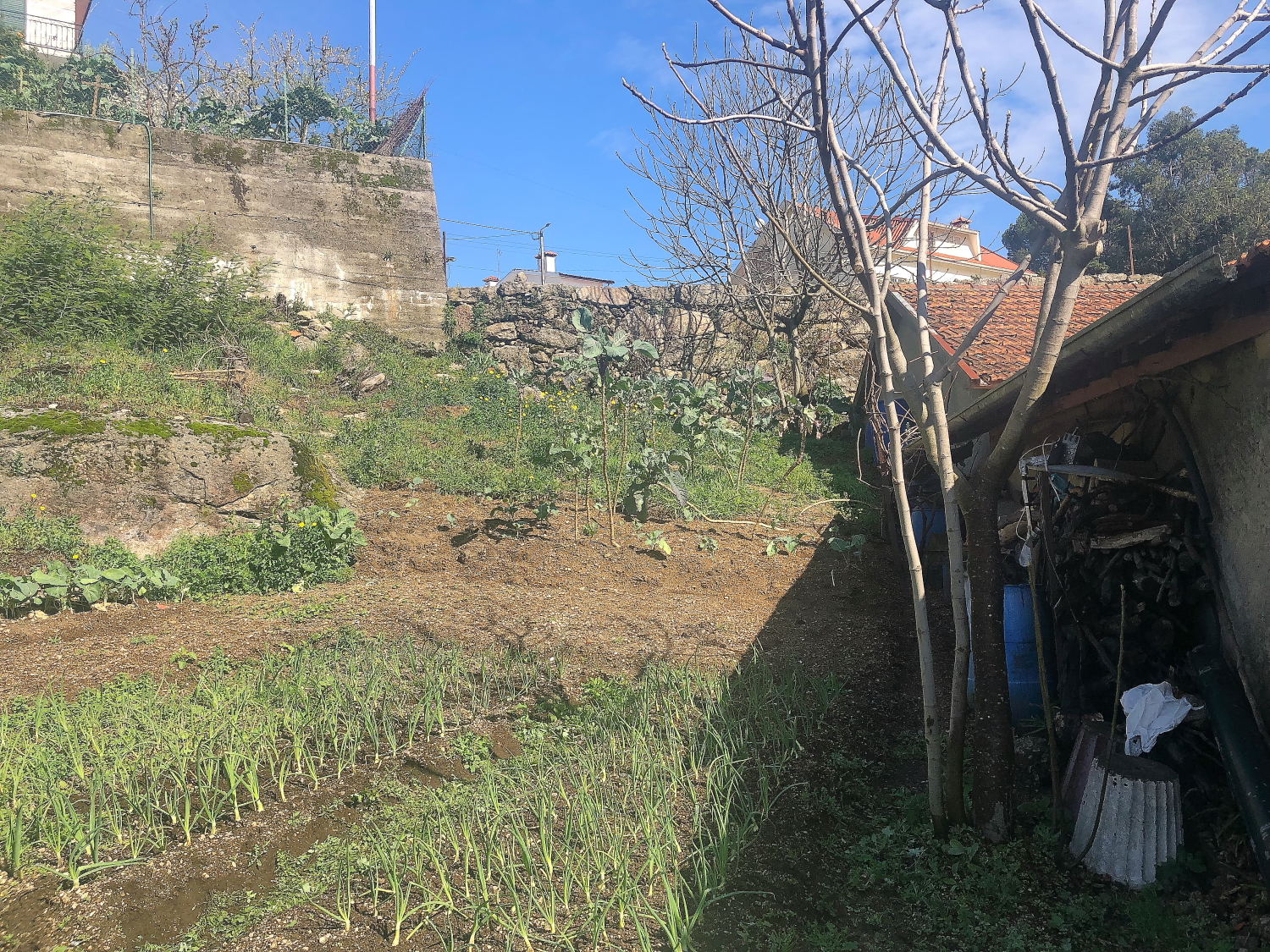 Terreno Urbano