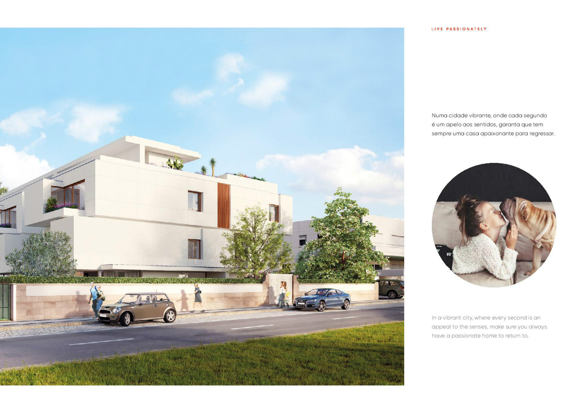 Étage 3 Chambre(s)+1