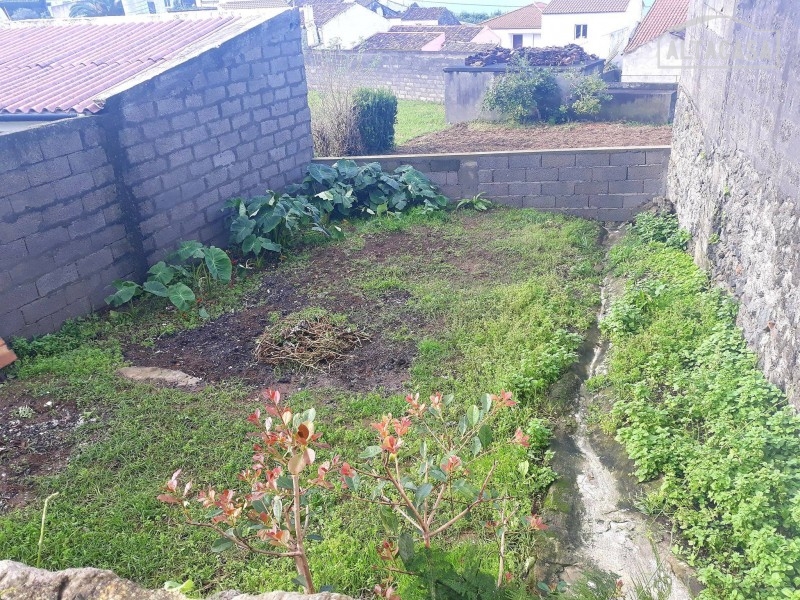 Semi-detached house T2