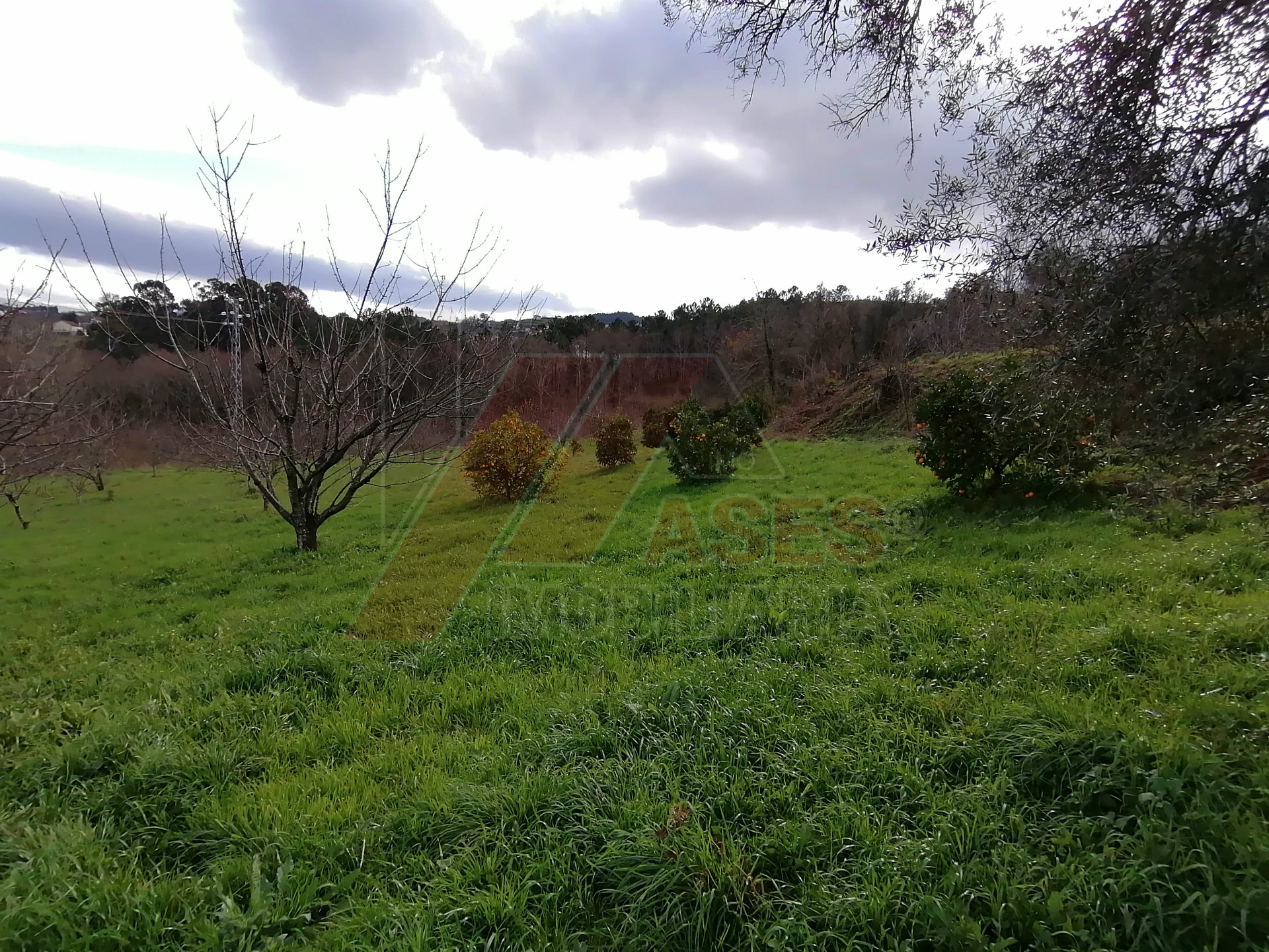 herencia 4 habitaciones