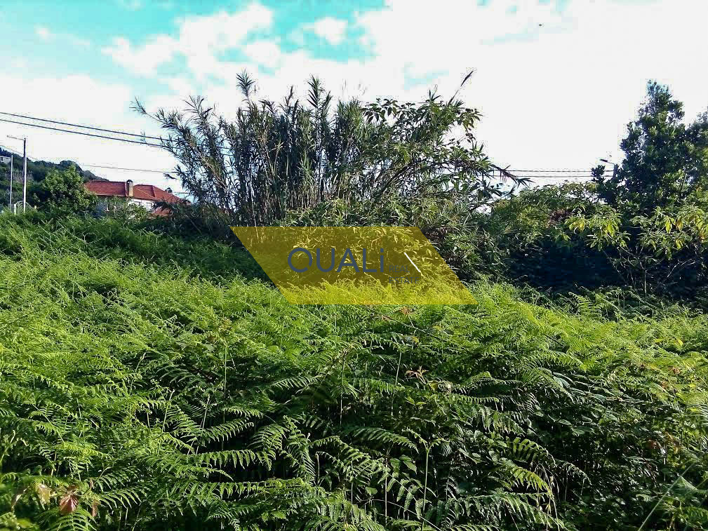 Terreno rustico di 1250m2 ad Arco de São Jorge - Isola di Madeira - € 70.000,00