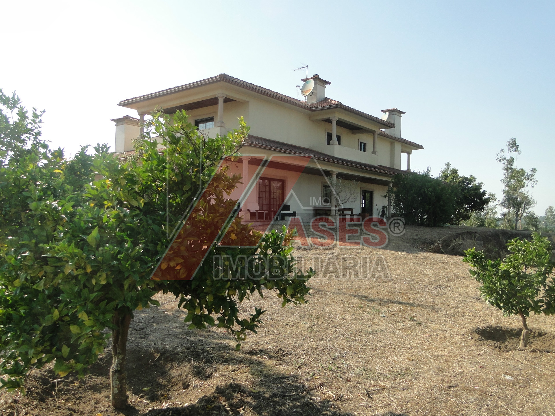 Abitazione 5 Vani +1