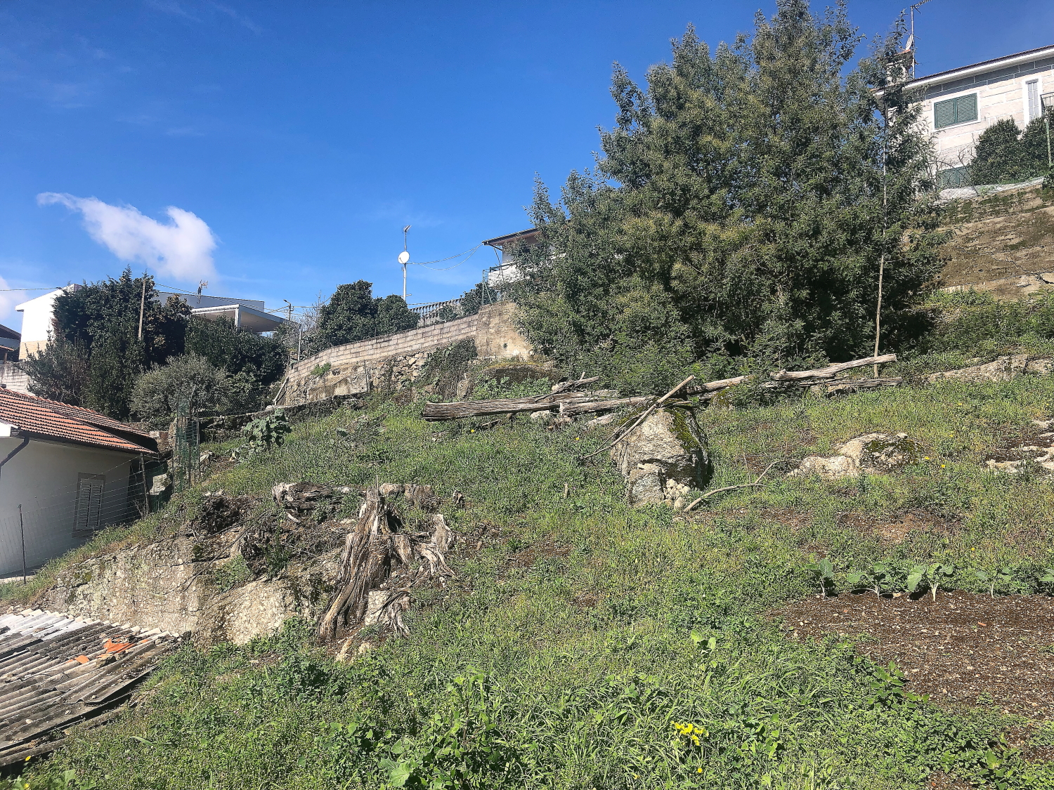 Terreno Urbano