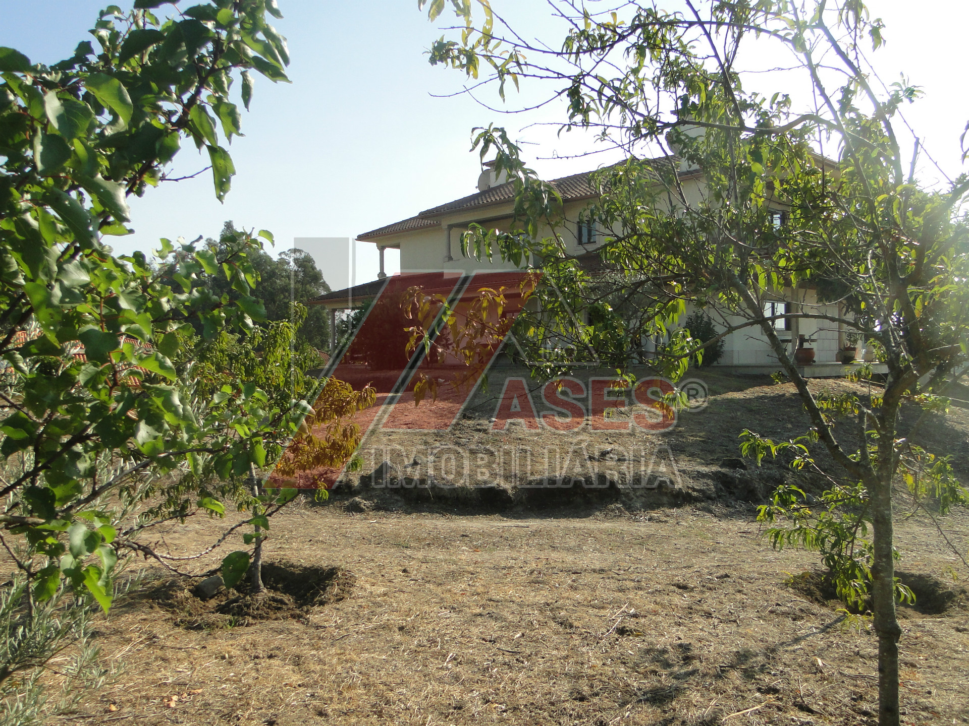 Abitazione 5 Vani +1