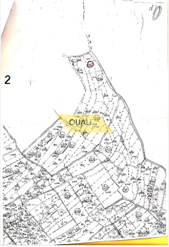 380 m2 plot by the road in Santa Cruz Municipality € 28.000,00