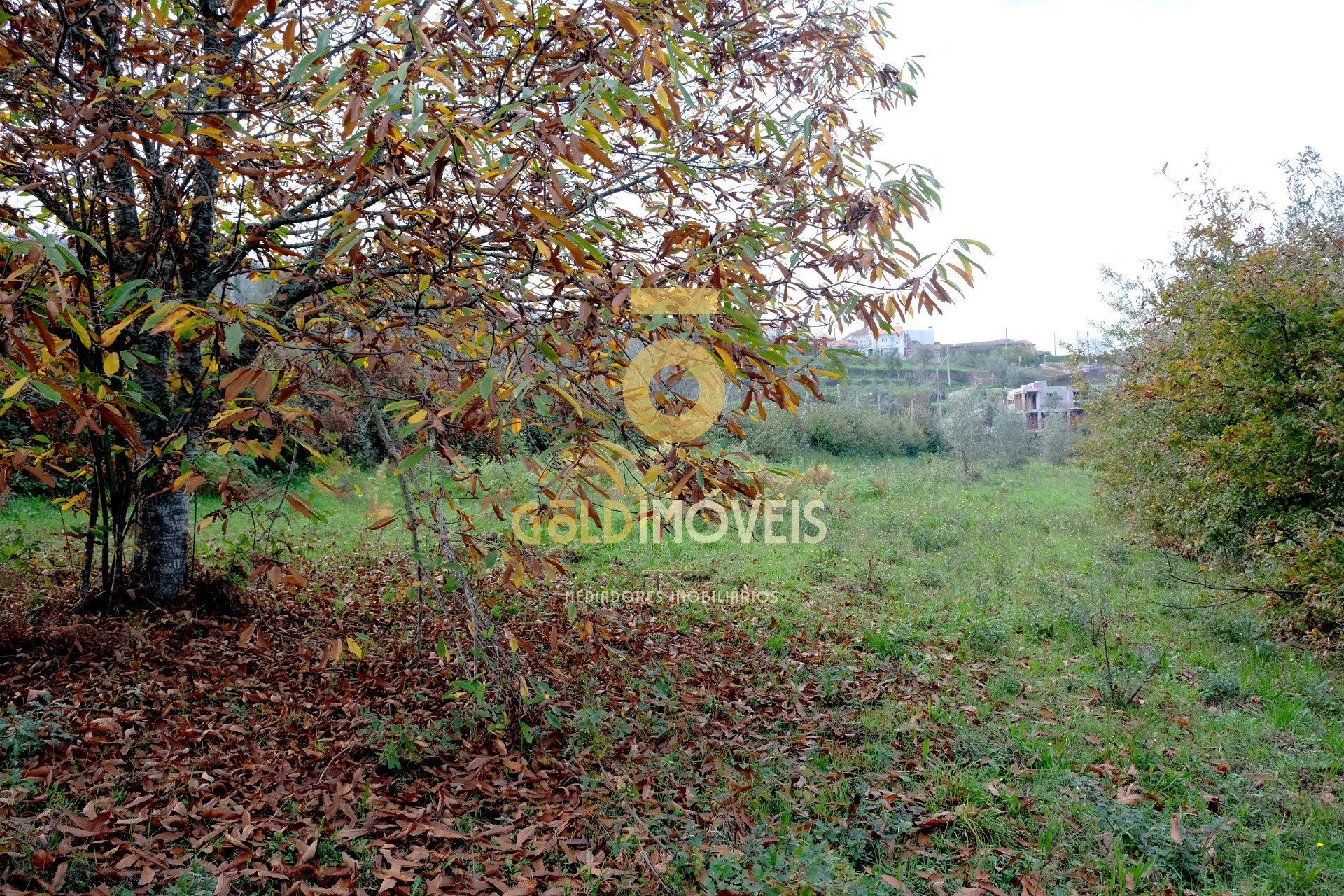 Terreno Para Construção