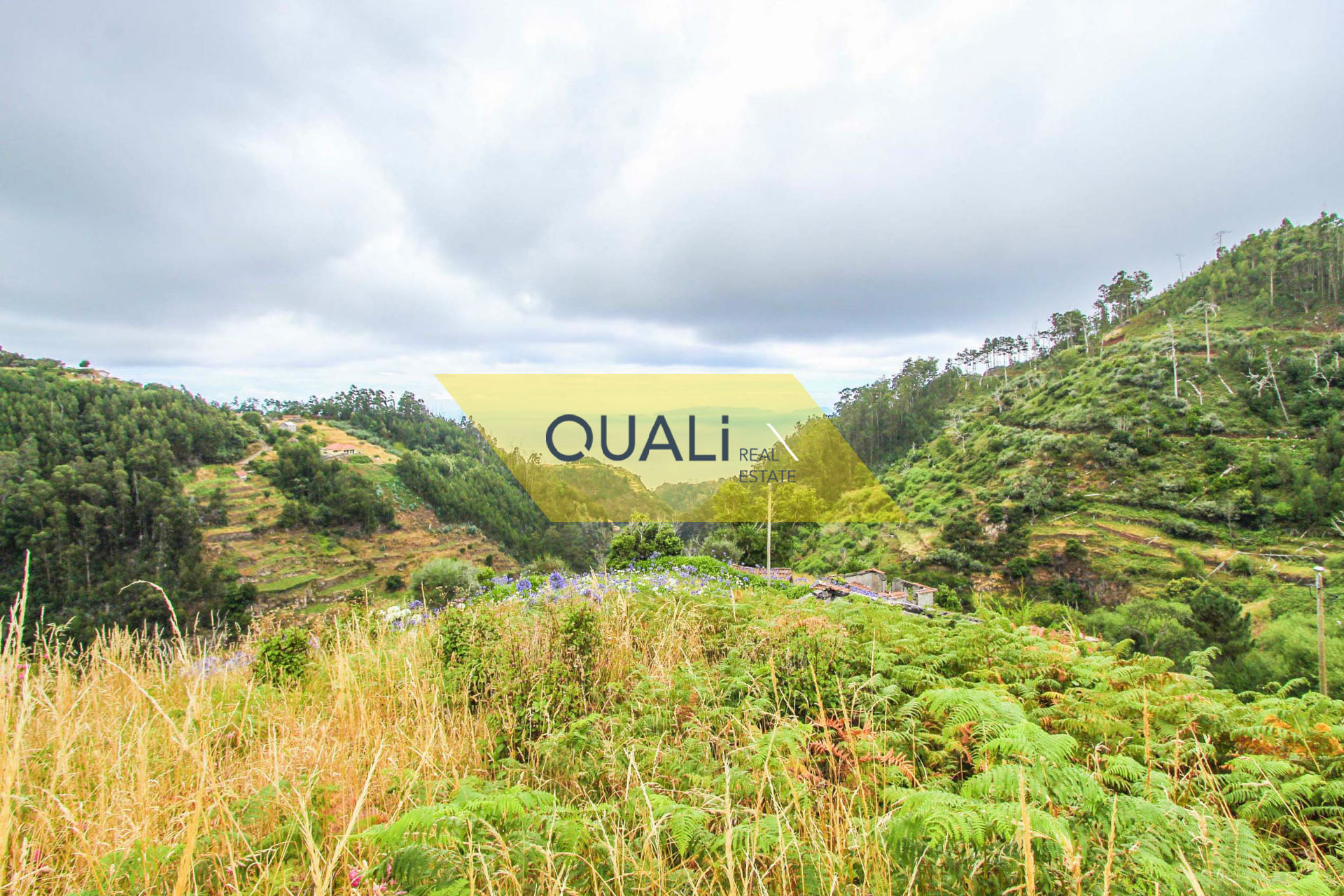 Terreno 980 m2 com casa em ruinas em Conselho de Santa Cruz €50.000,00