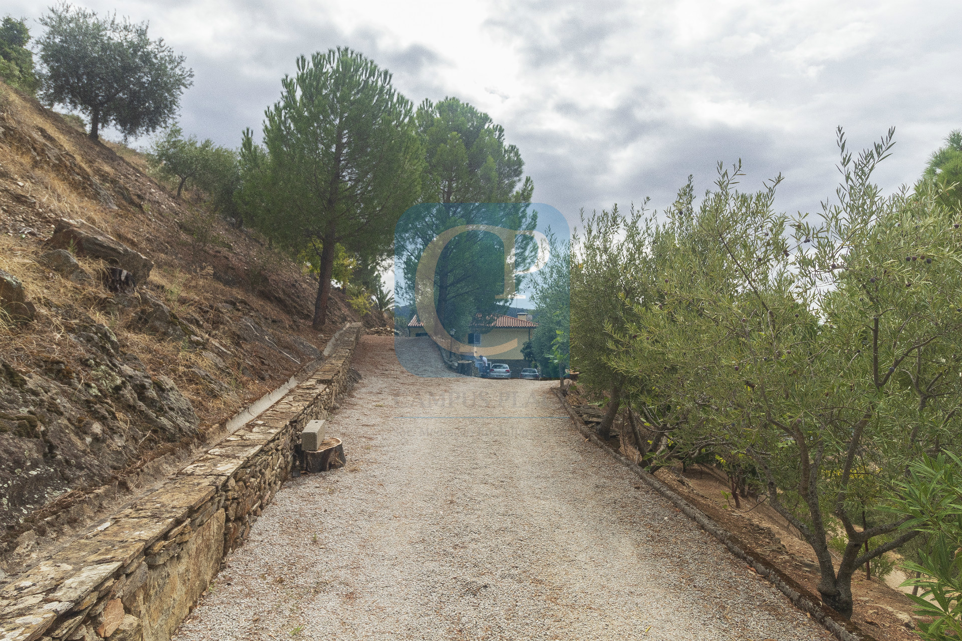 Quinta no Alto Douro Vinhateiro