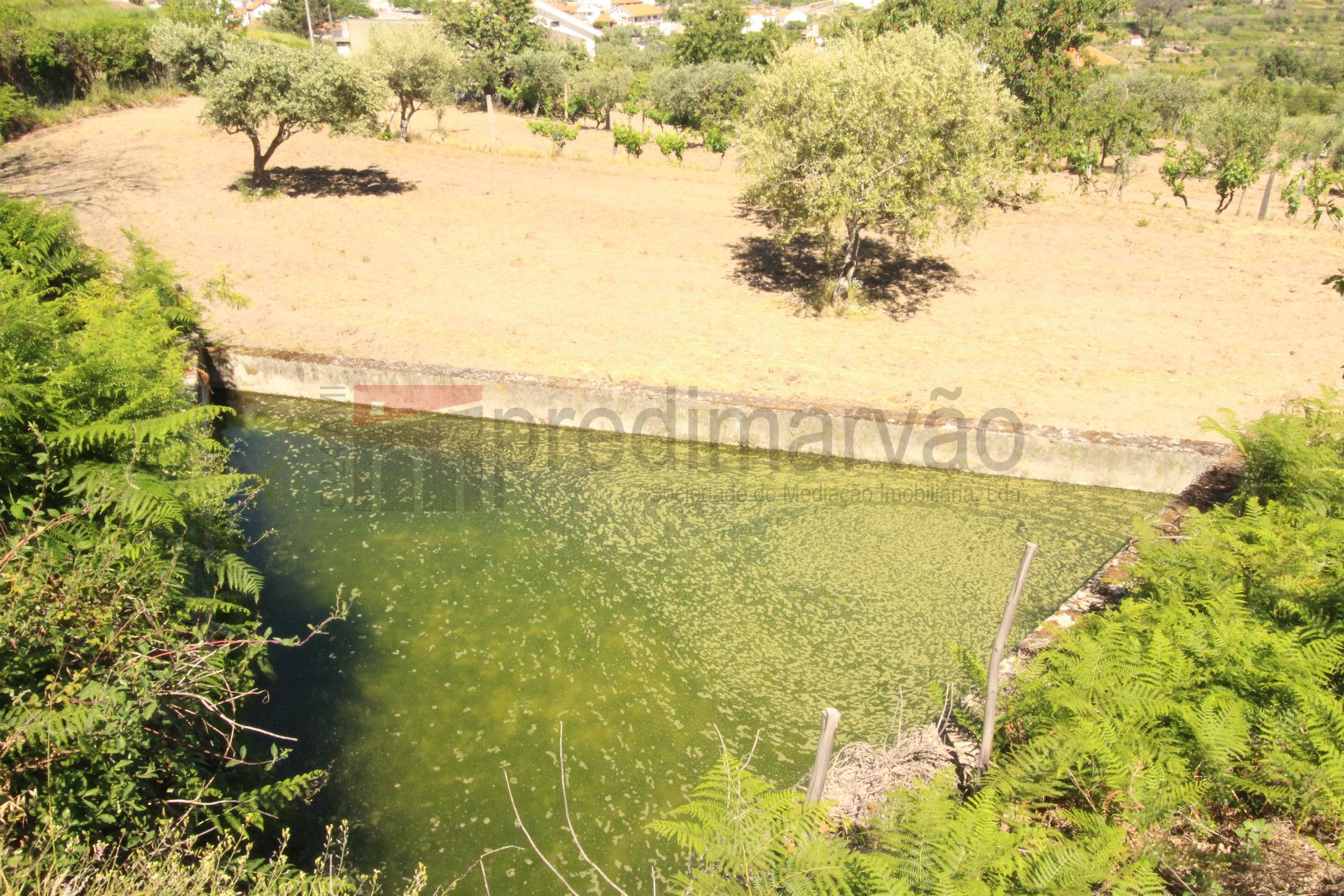 Quintinha T2+1 DUPLEX