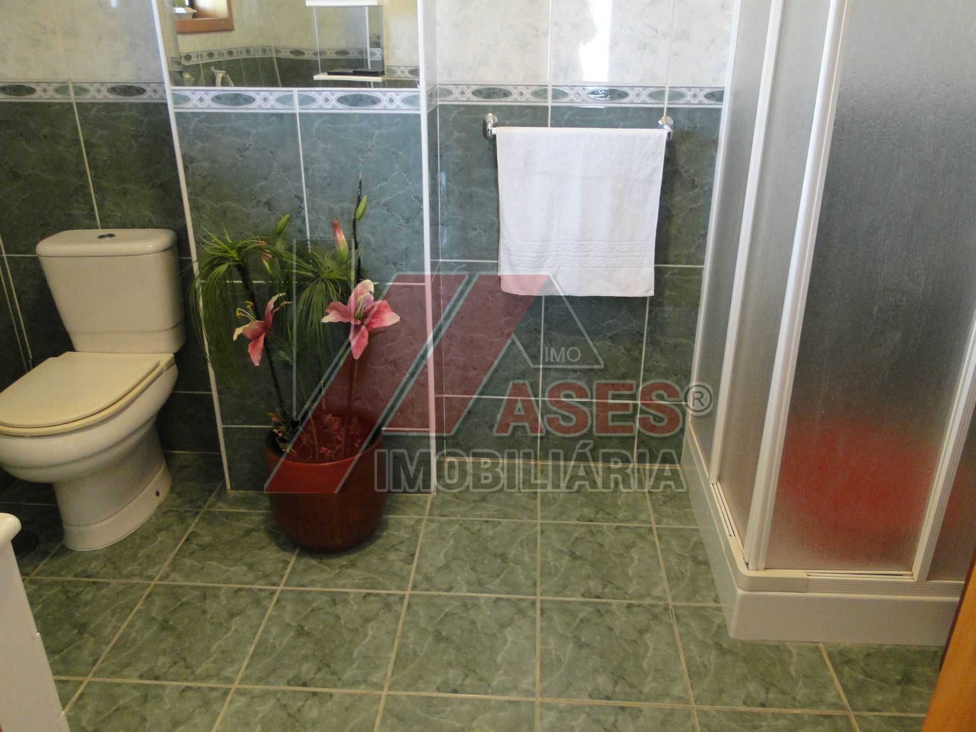 Abitazione 5 Vani +1