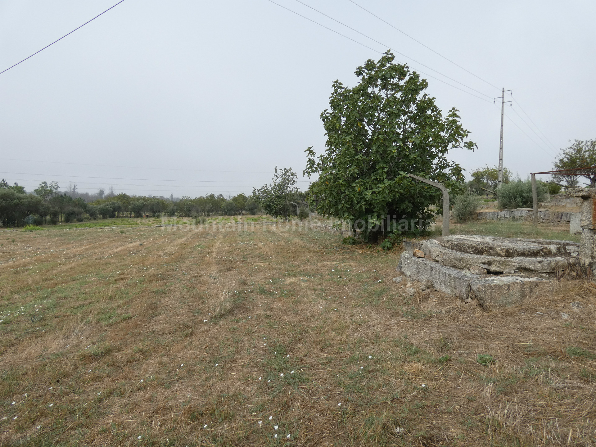 Terreno Para Construcción