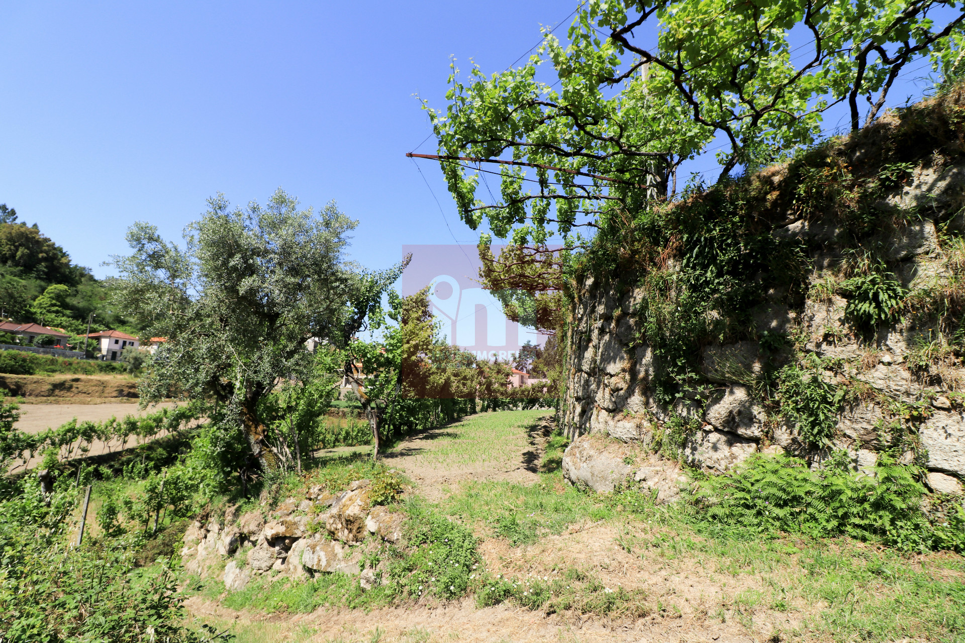 Herdade