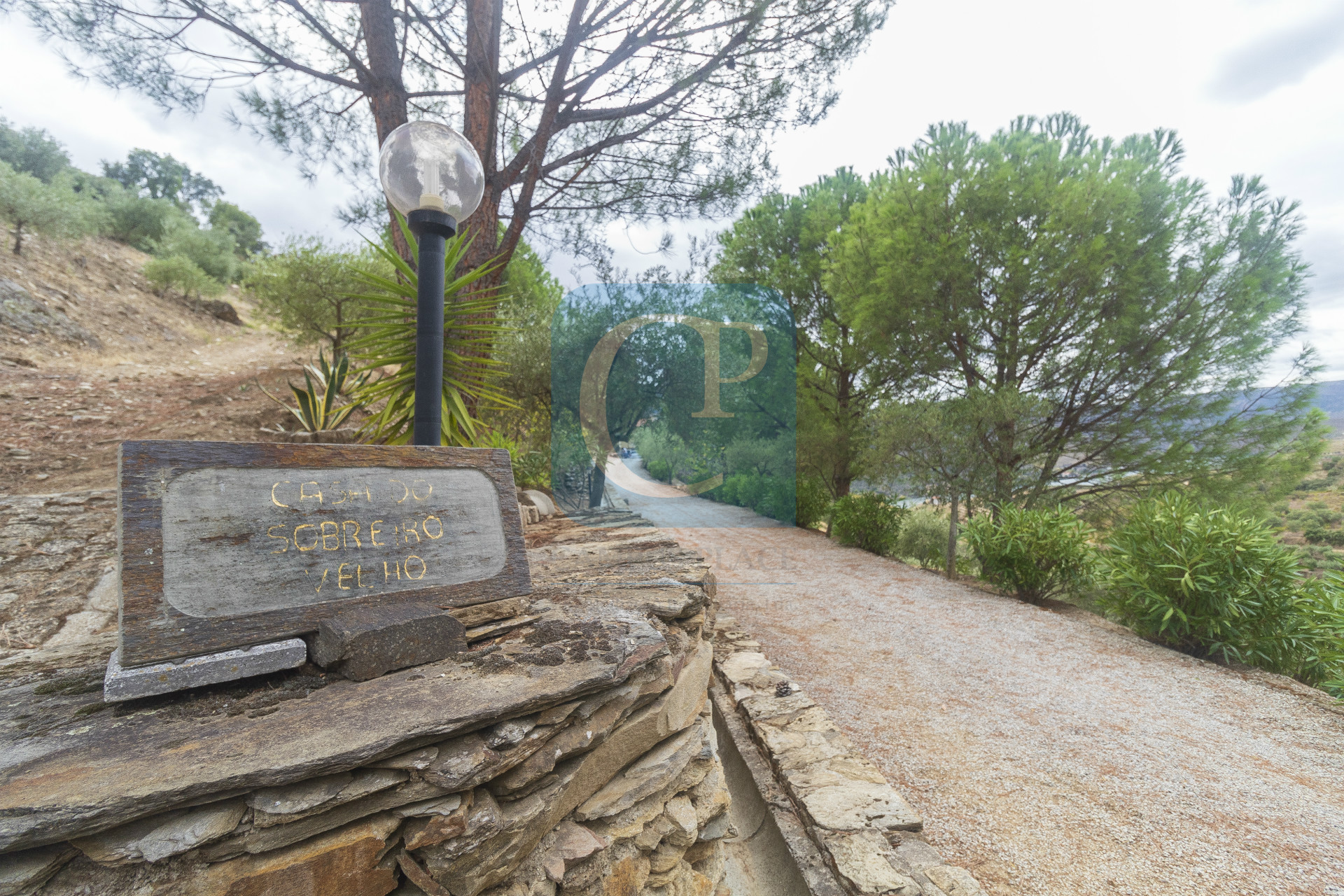 Quinta no Alto Douro Vinhateiro