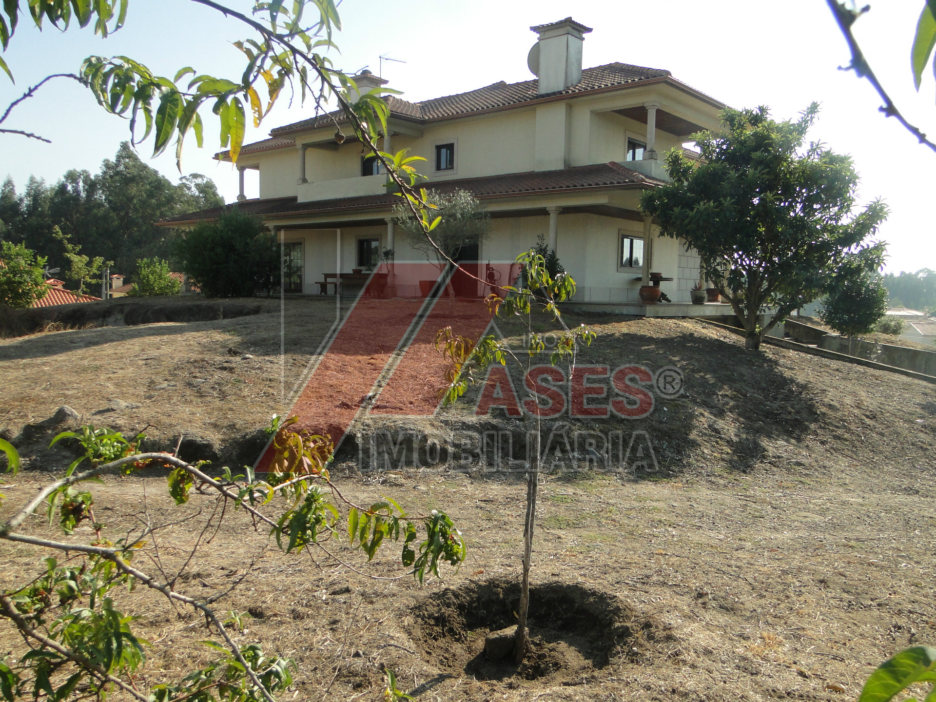 Abitazione 5 Vani +1