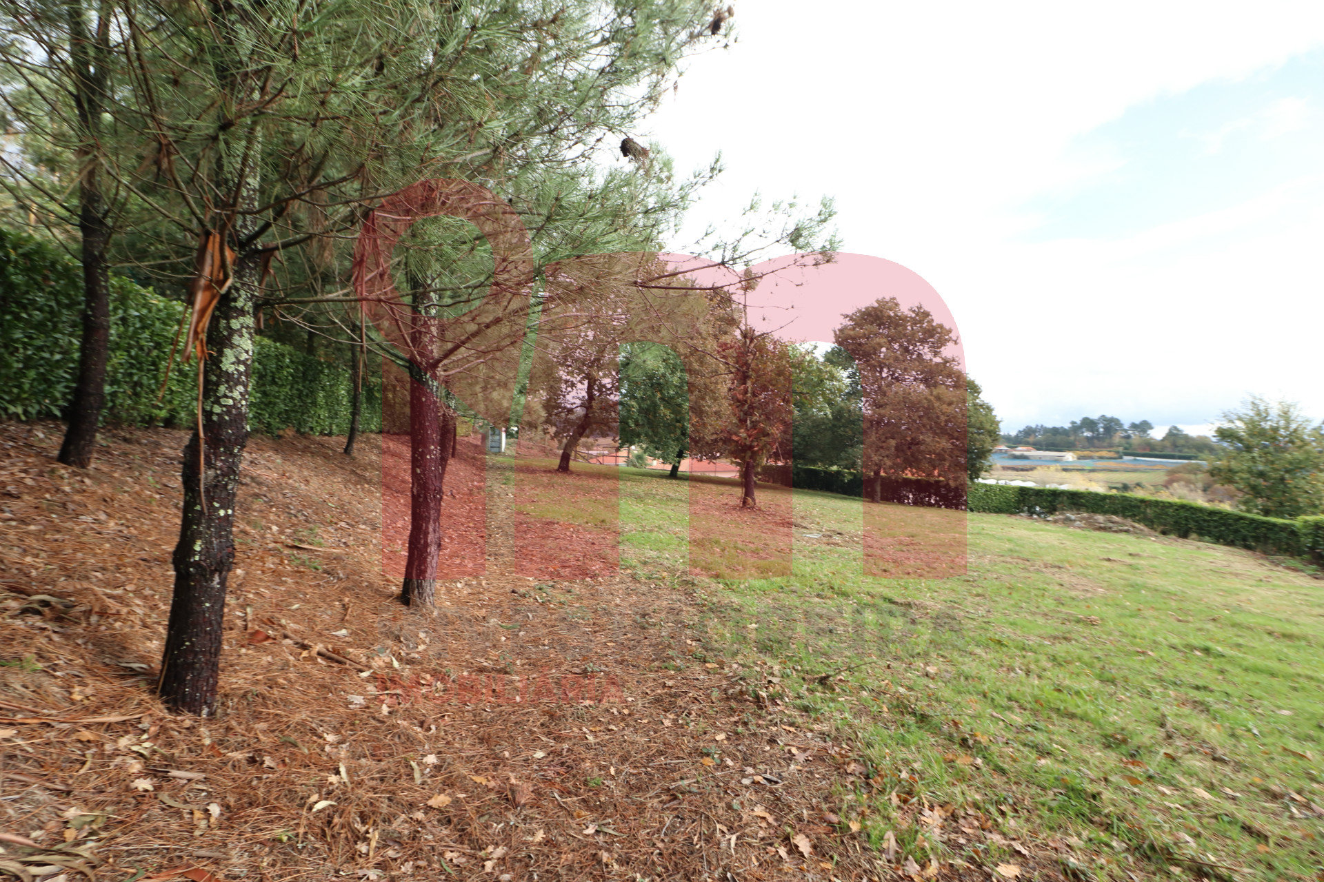 Terreno Para Construção