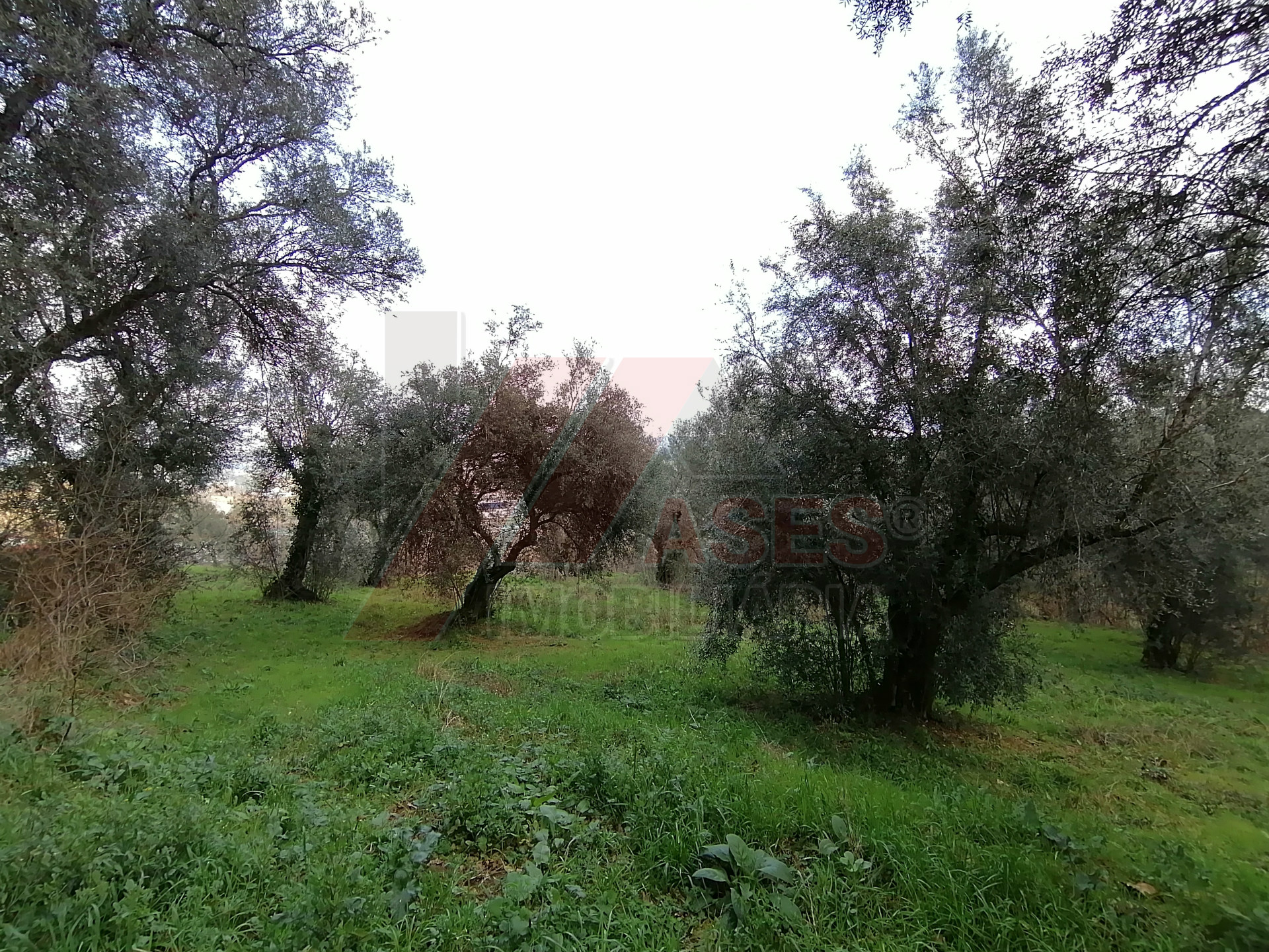 herencia 4 habitaciones