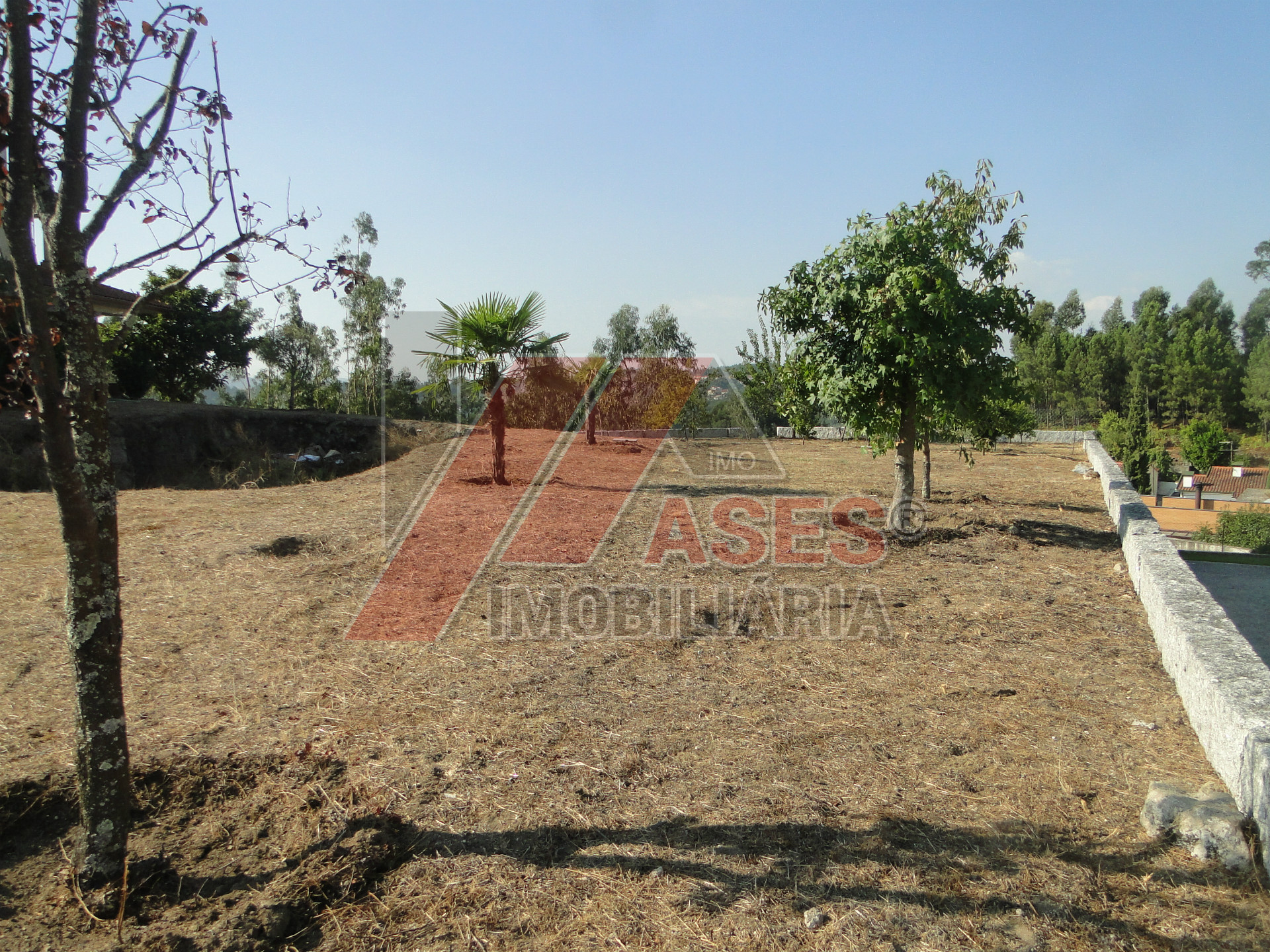 Abitazione 5 Vani +1