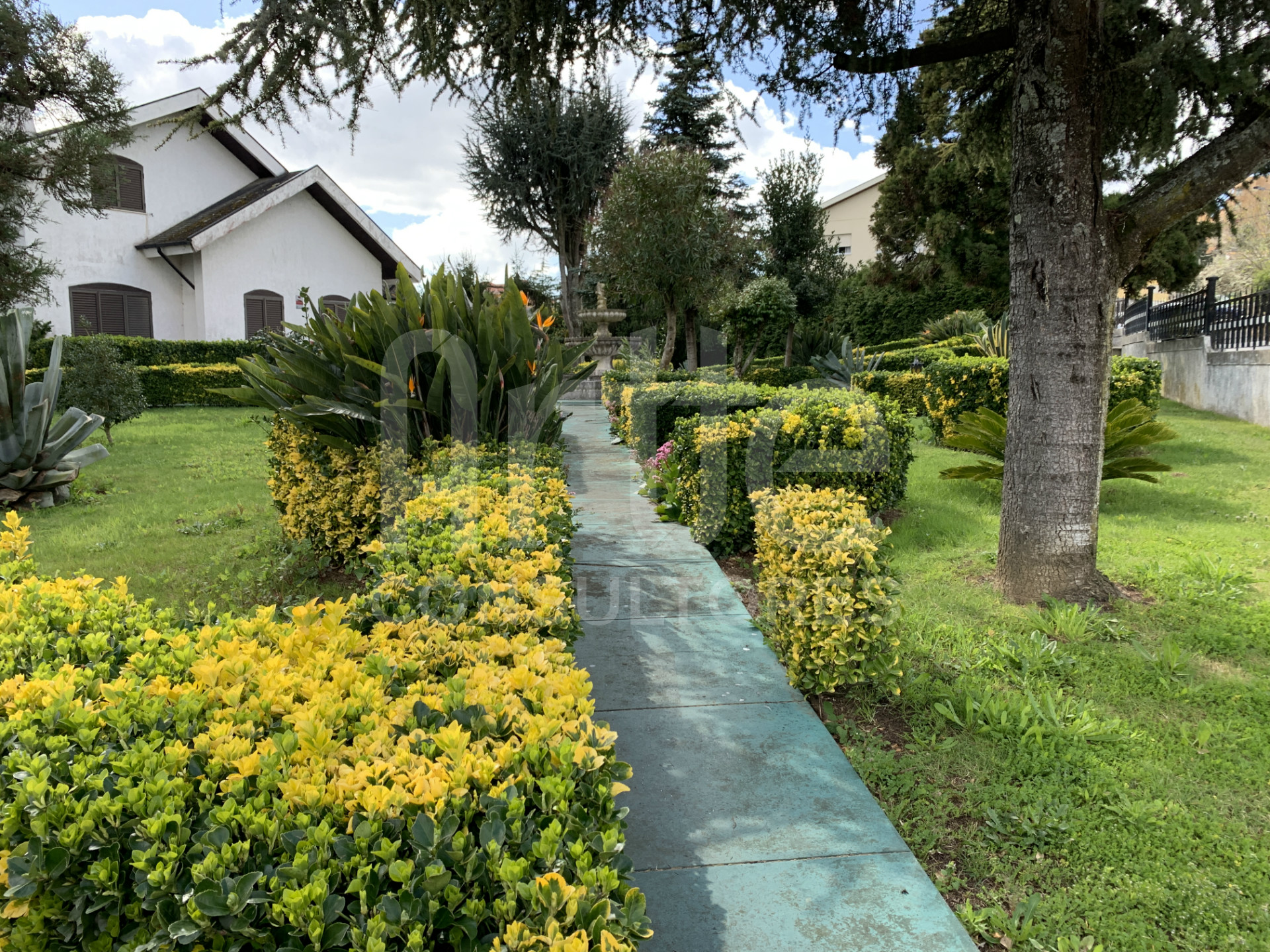 Façade Latérale Gauche