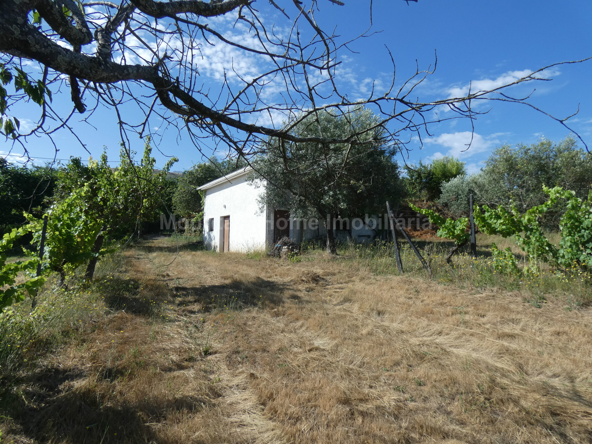Terreno per Costruzione Monolocale